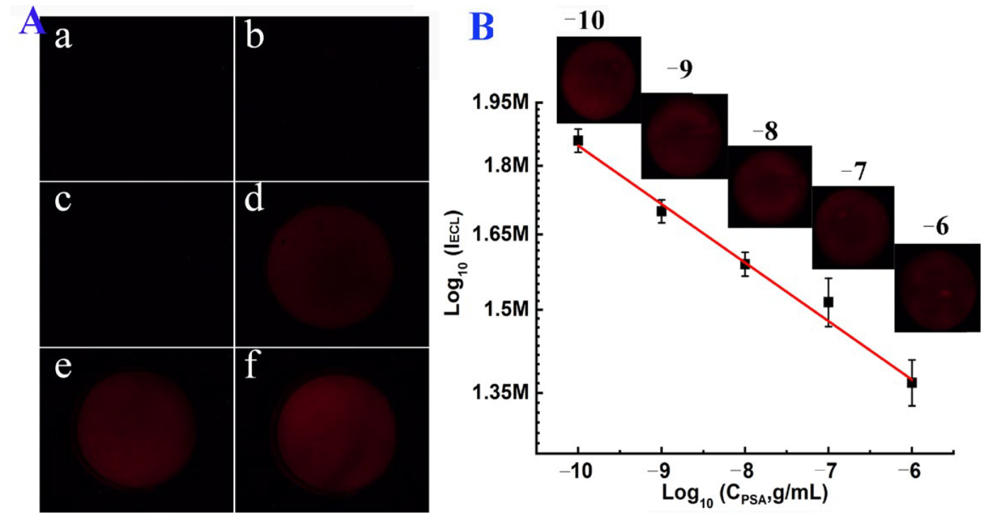 Biosensors 13 00158 g005