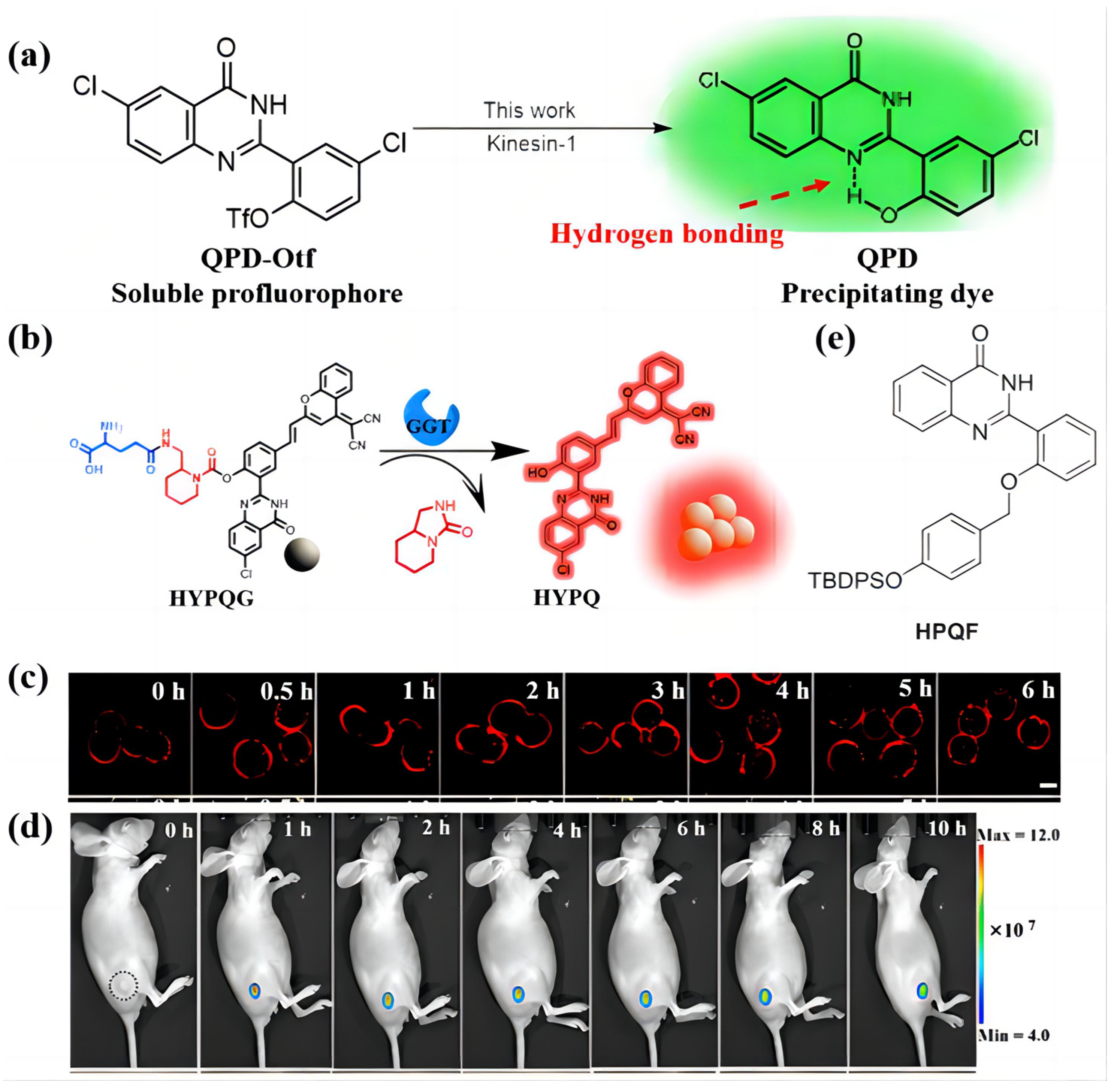 Biosensors 13 00159 g006 Biosensors 13 00159 g006
