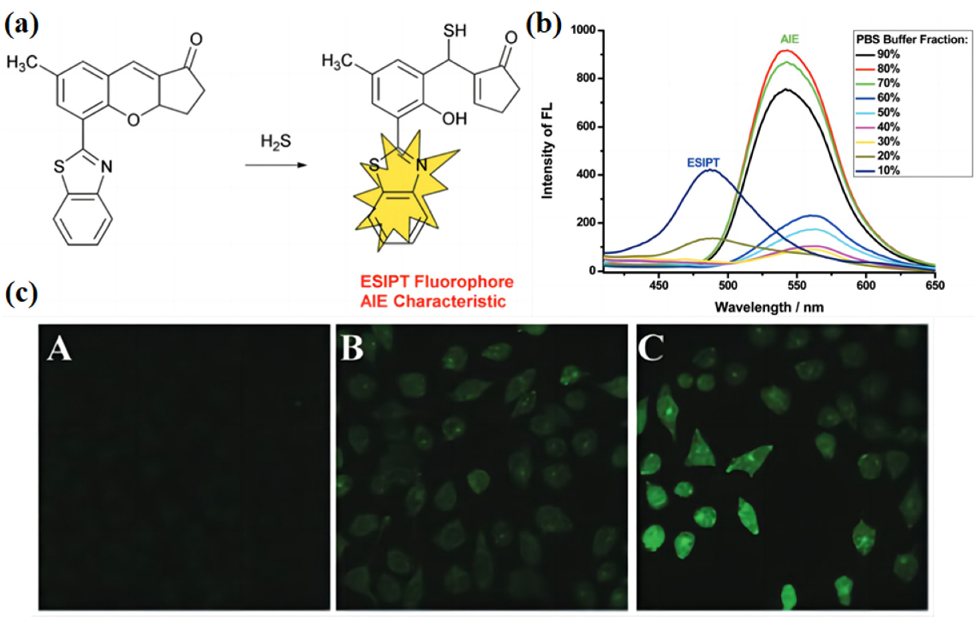 Biosensors 13 00159 g007 Biosensors 13 00159 g007