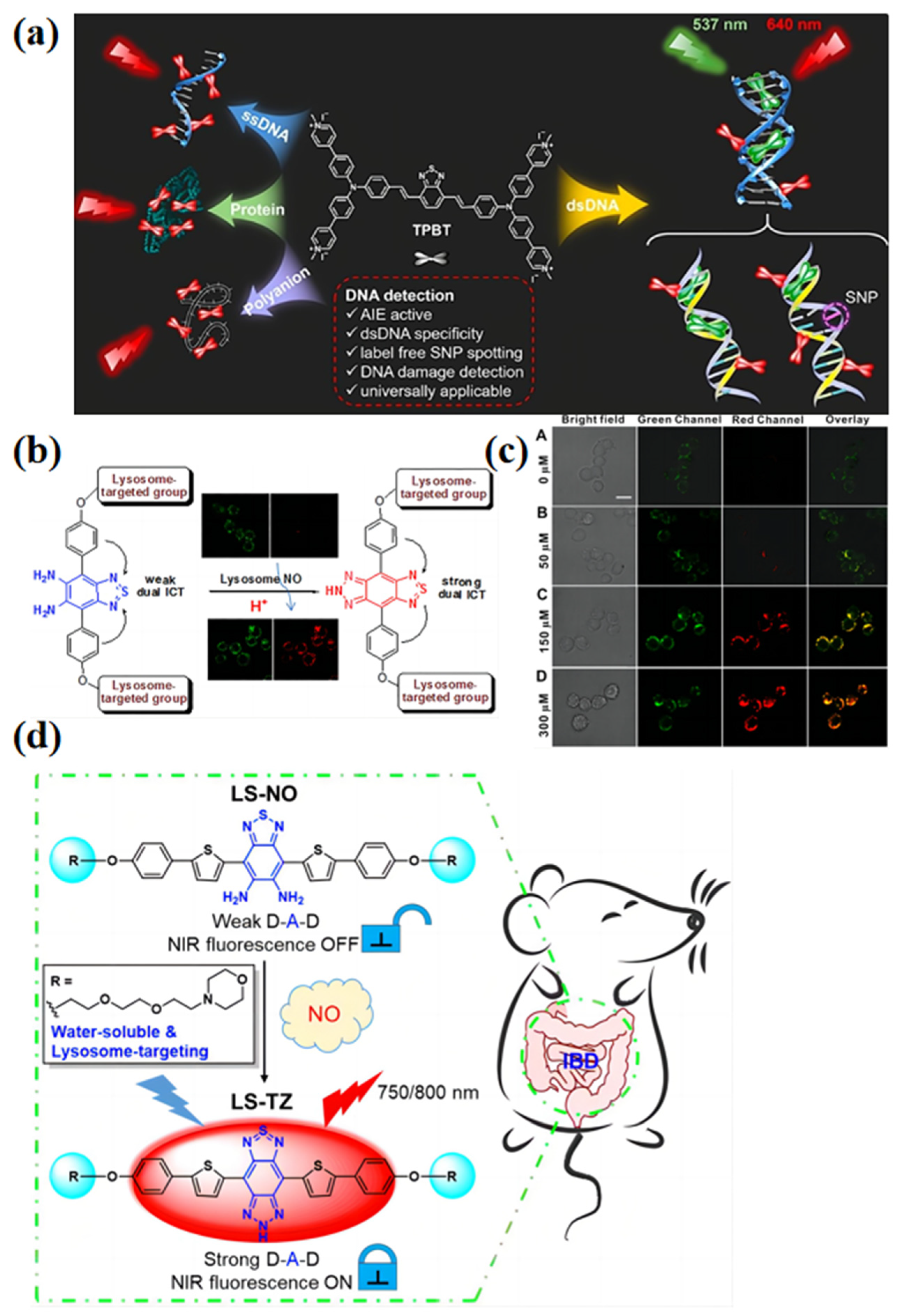 Biosensors 13 00159 g008 Biosensors 13 00159 g008