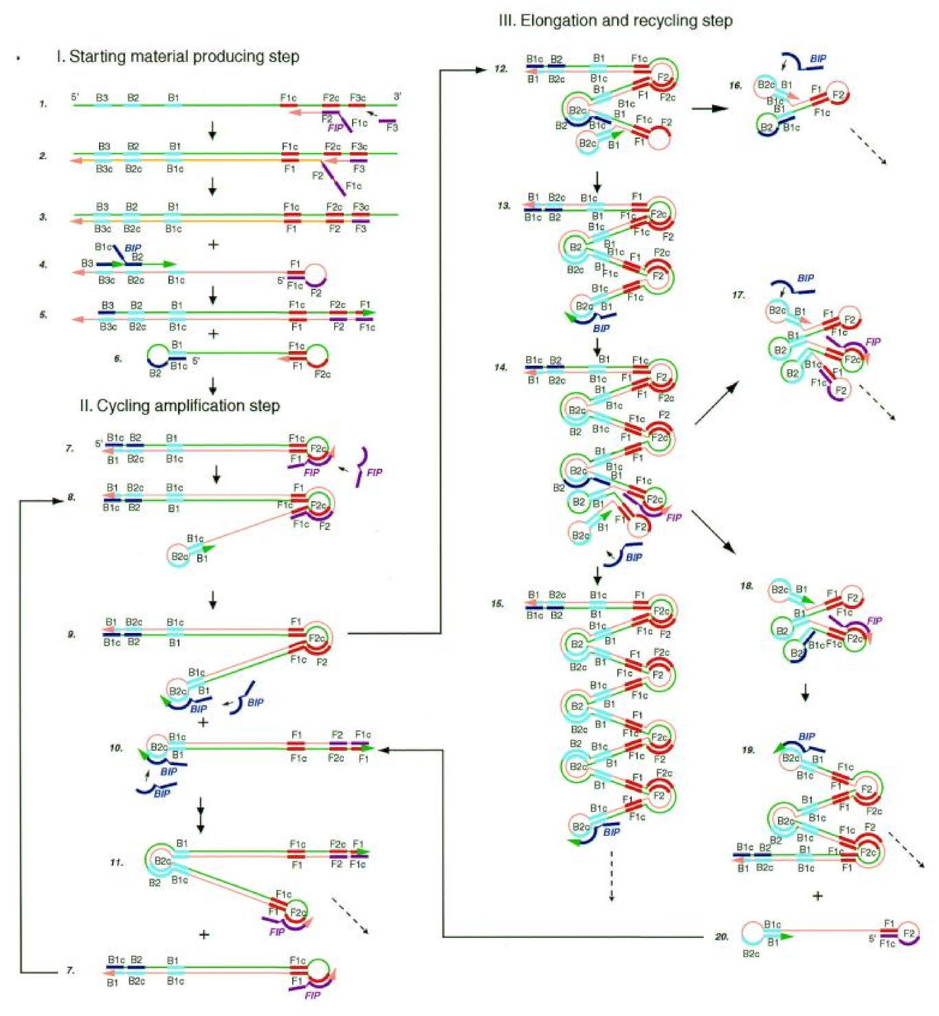 Biosensors 13 00160 g002 Biosensors 13 00160 g002