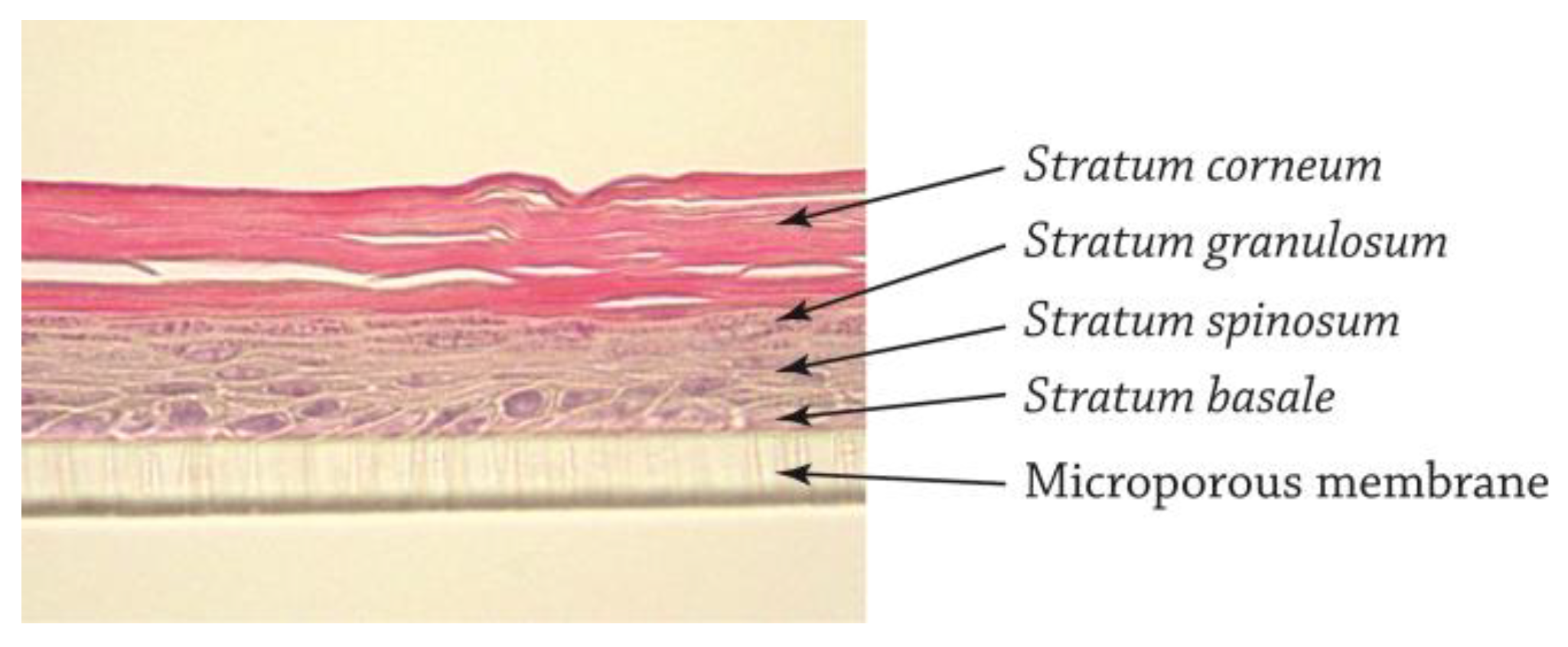 Biosensors 13 00162 g002 Biosensors 13 00162 g002