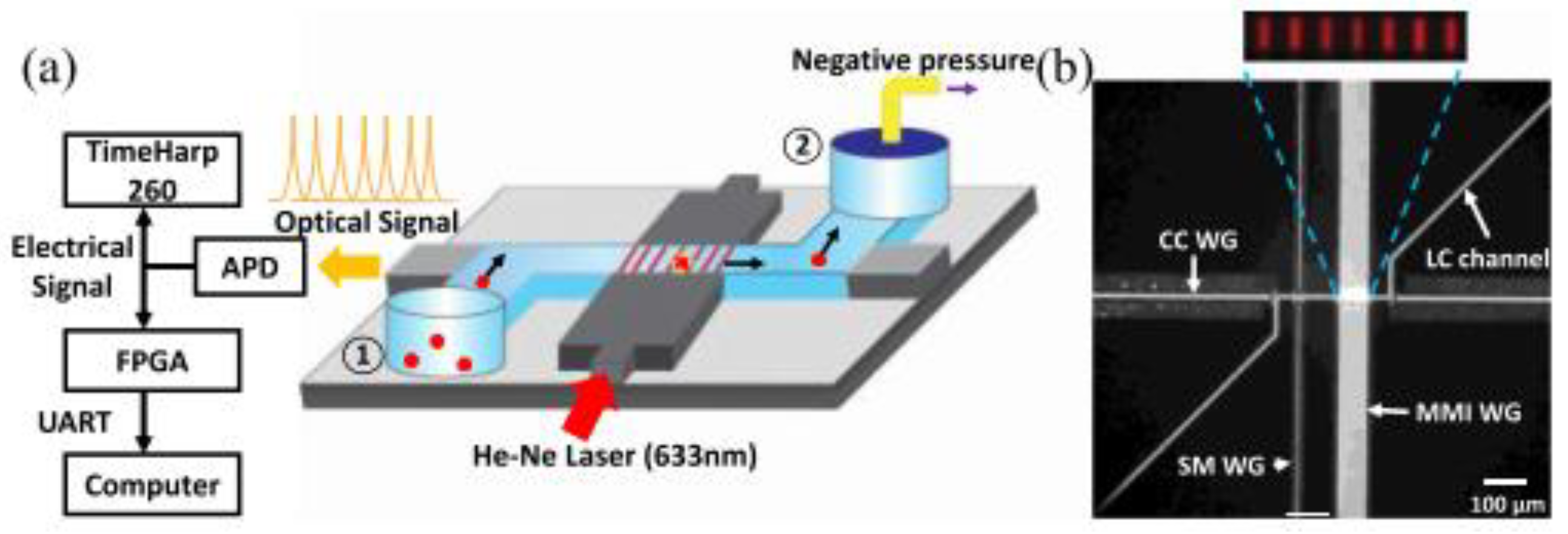 Biosensors 13 00163 g004 Biosensors 13 00163 g004