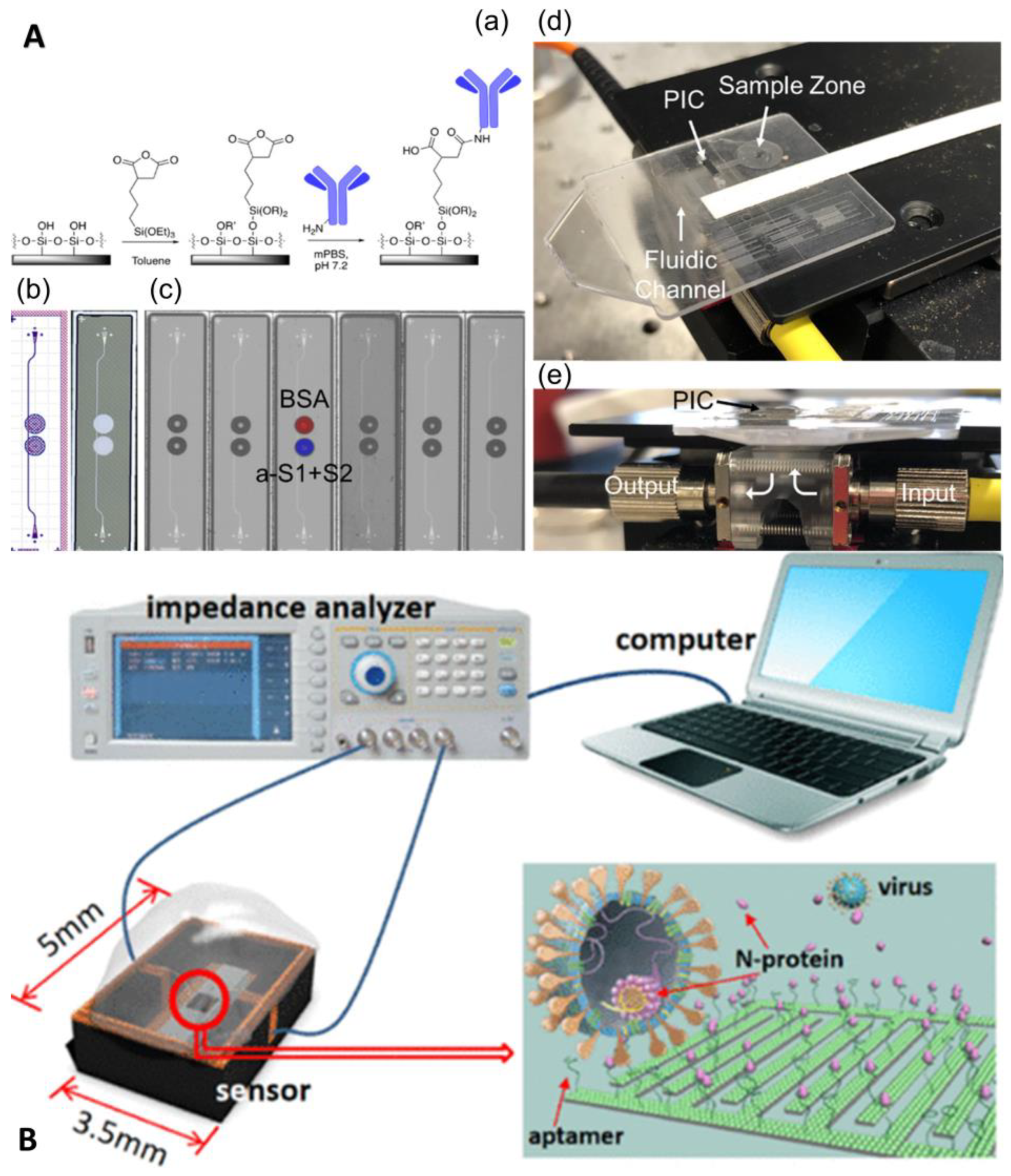 Biosensors 13 00163 g011 Biosensors 13 00163 g011