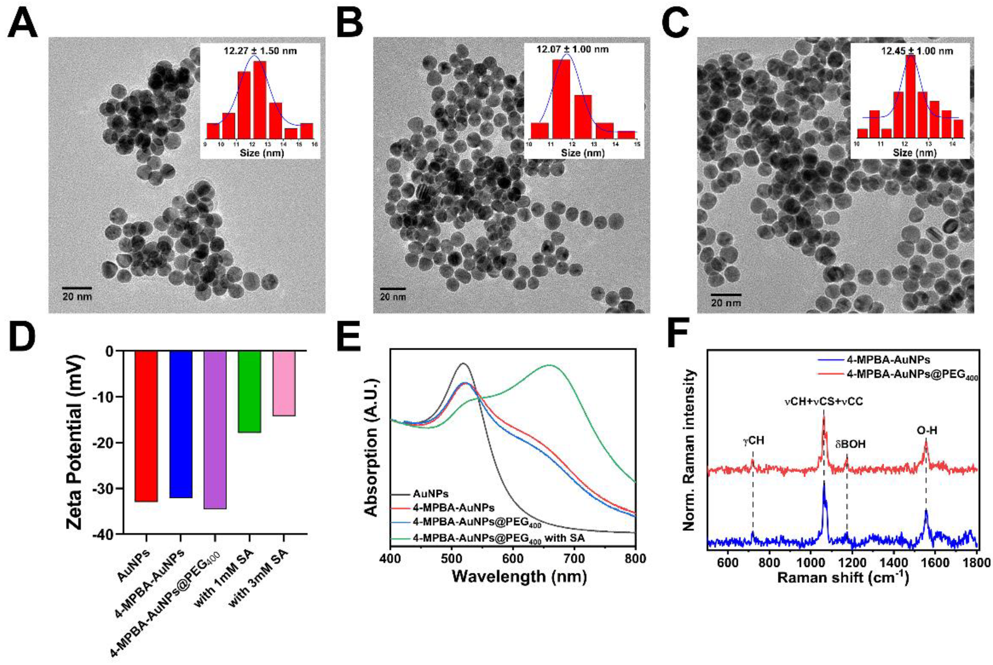 Biosensors 13 00164 g002