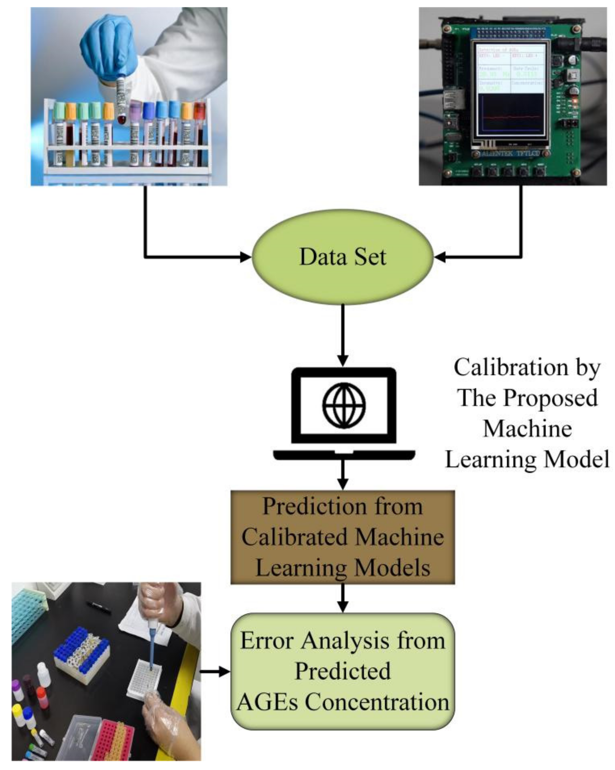 Biosensors 13 00170 g001