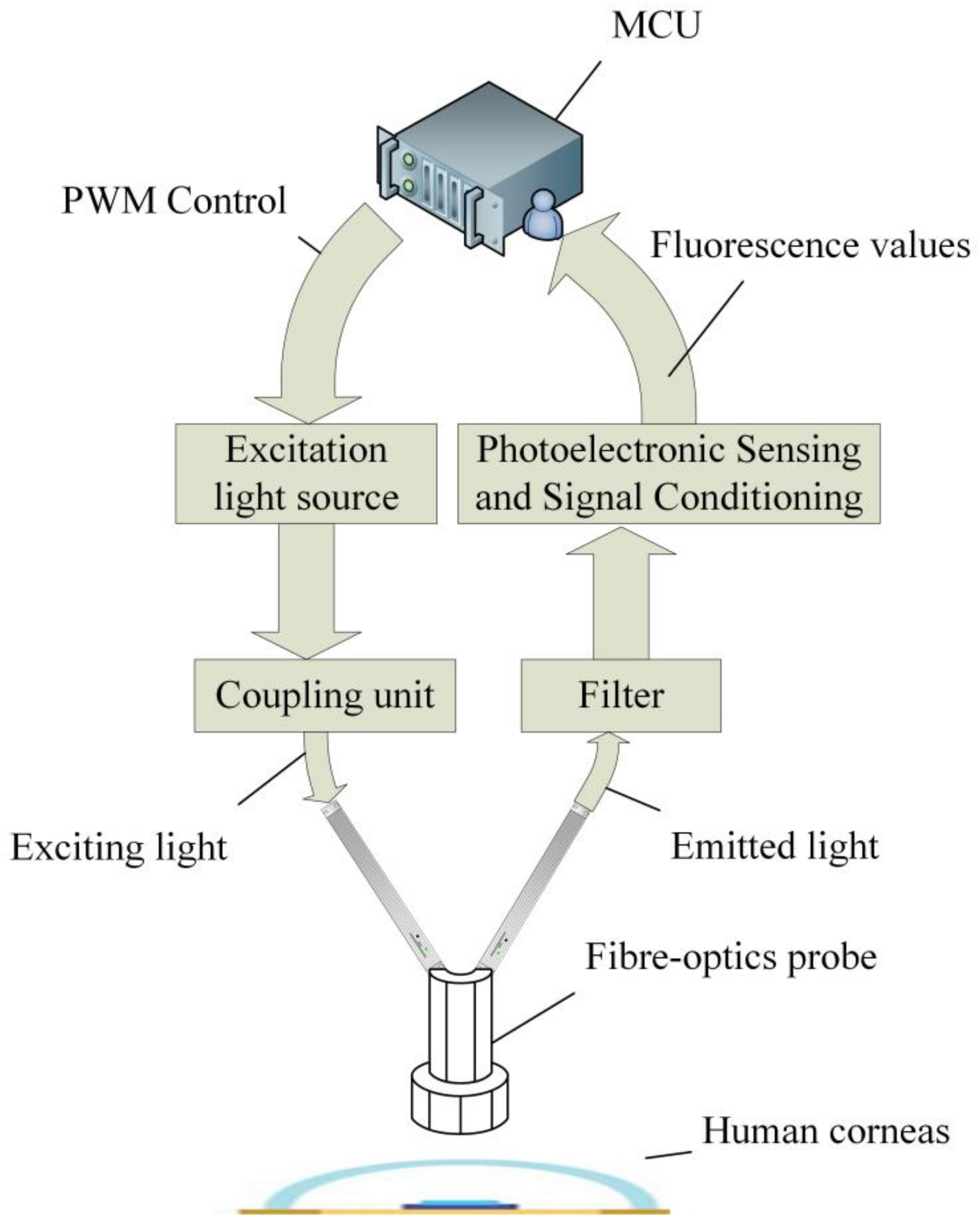 Biosensors 13 00170 g002