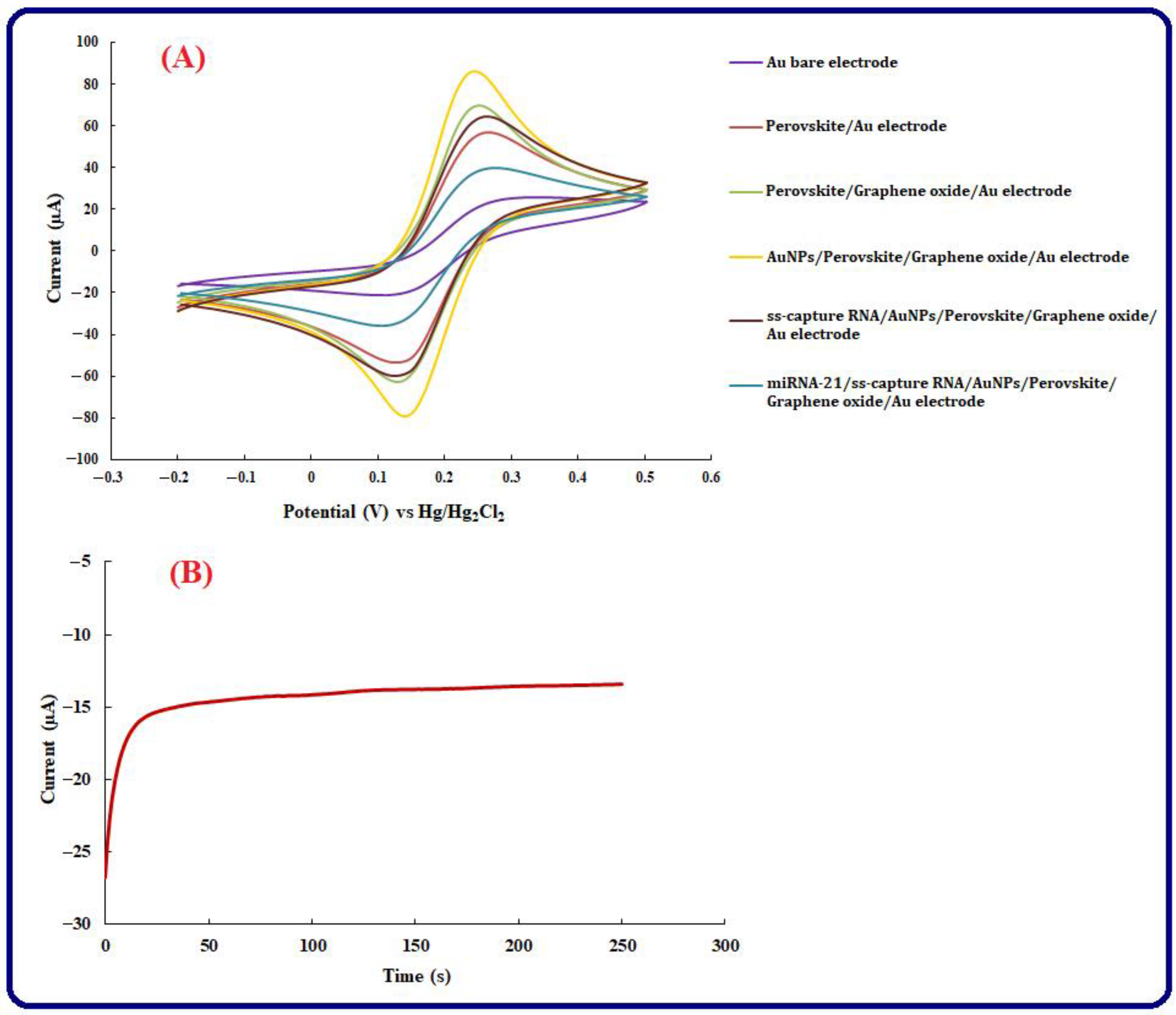 Biosensors 13 00172 g003 Biosensors 13 00172 g003