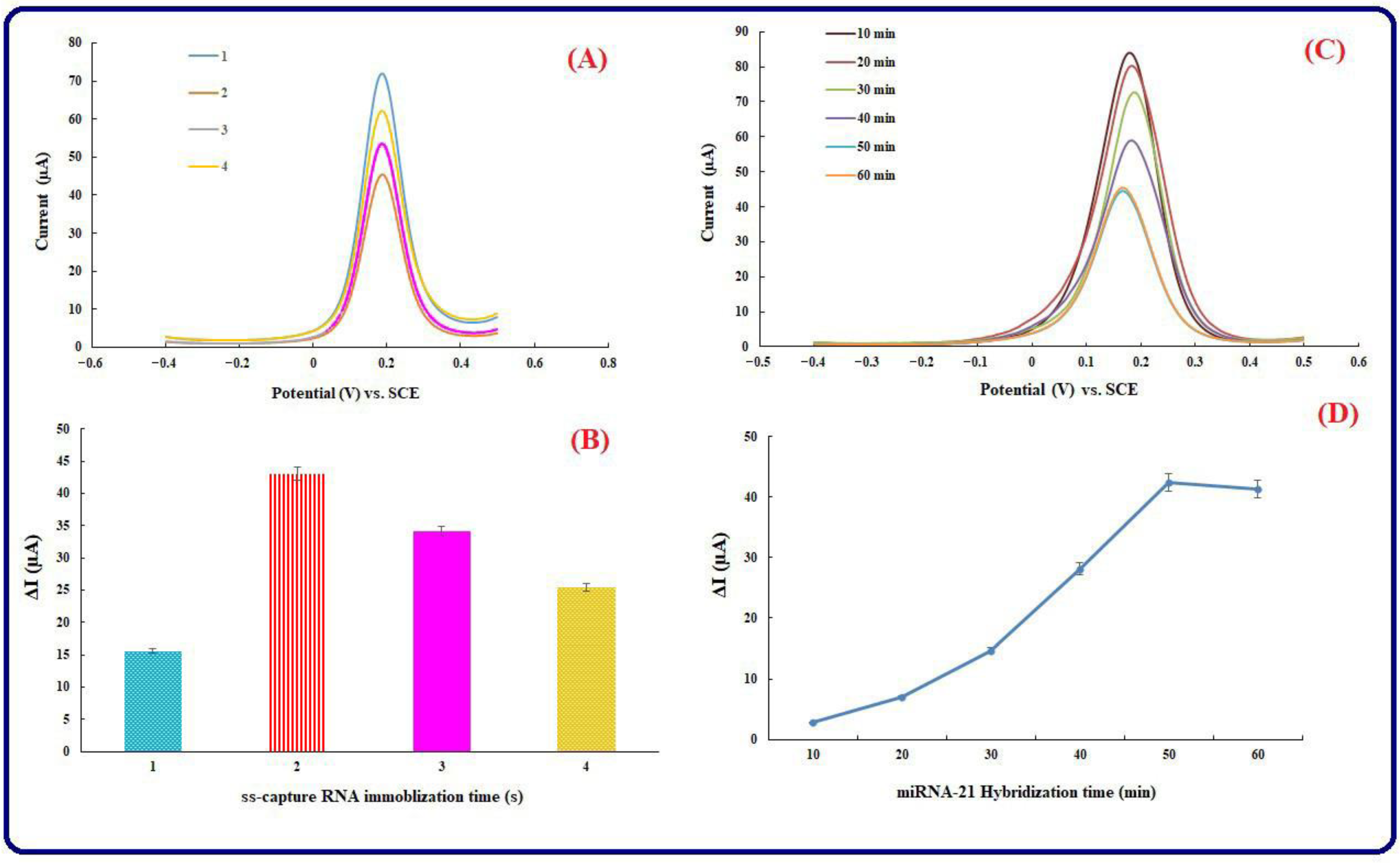 Biosensors 13 00172 g004 Biosensors 13 00172 g004