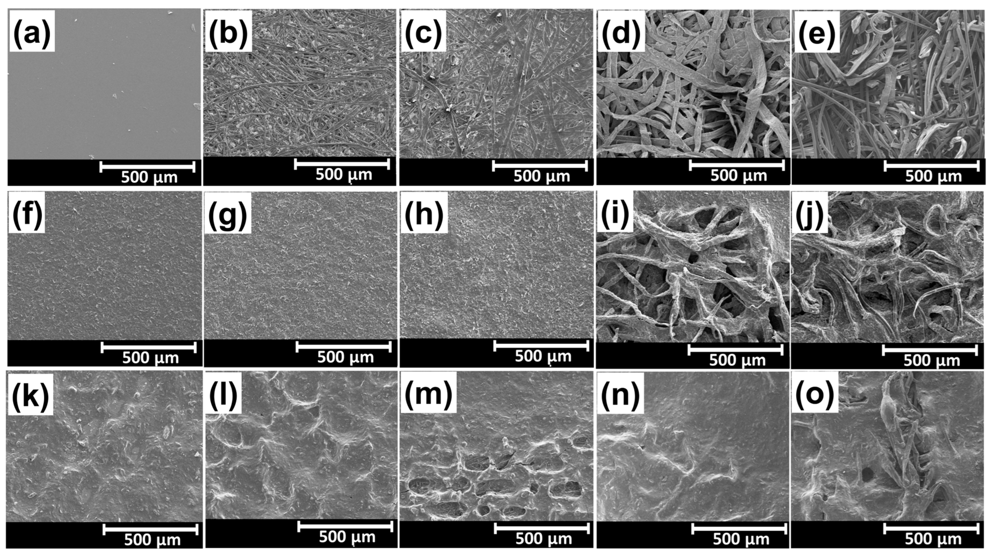 Biosensors 13 00174 g003