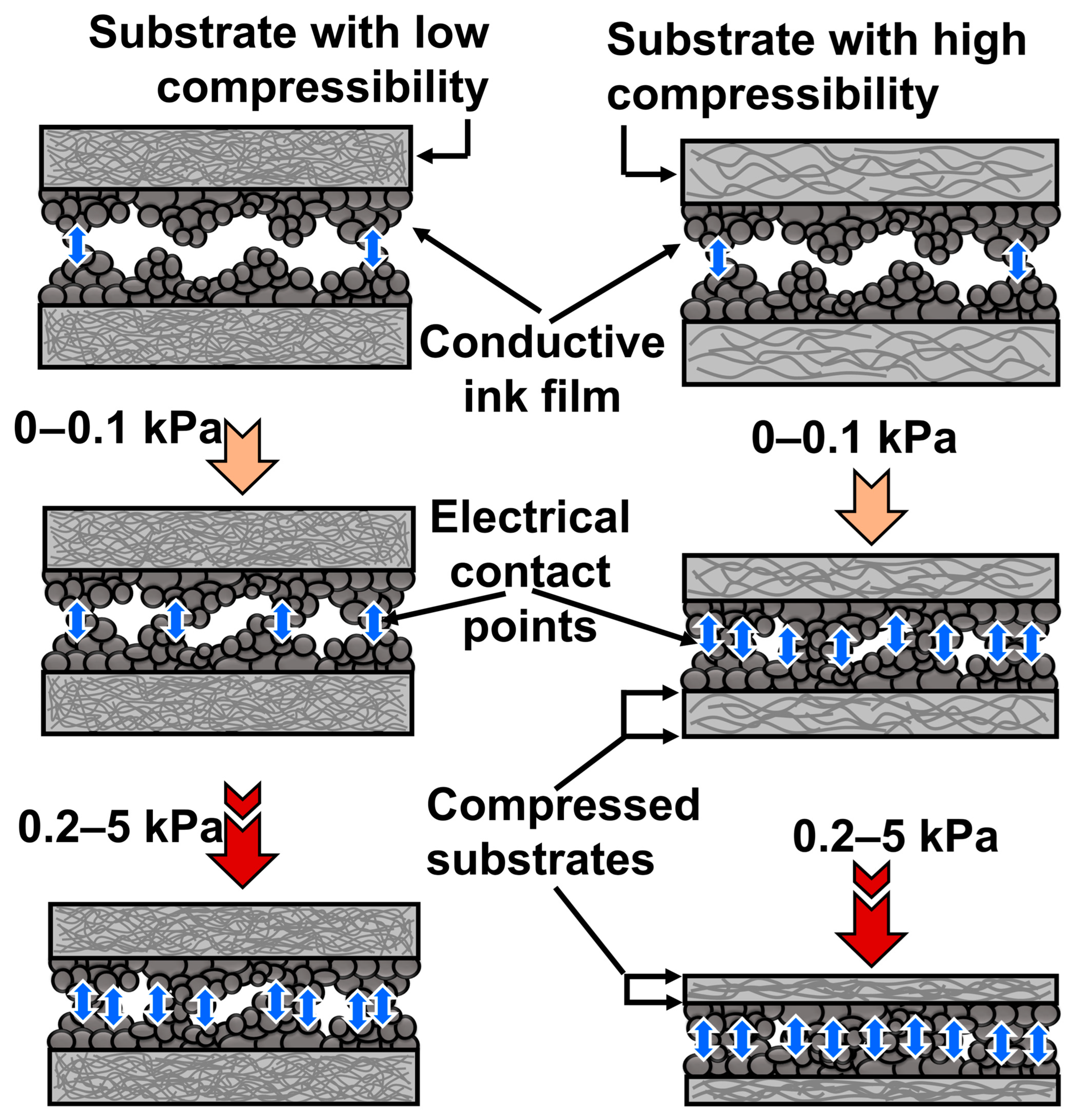 Biosensors 13 00174 g006