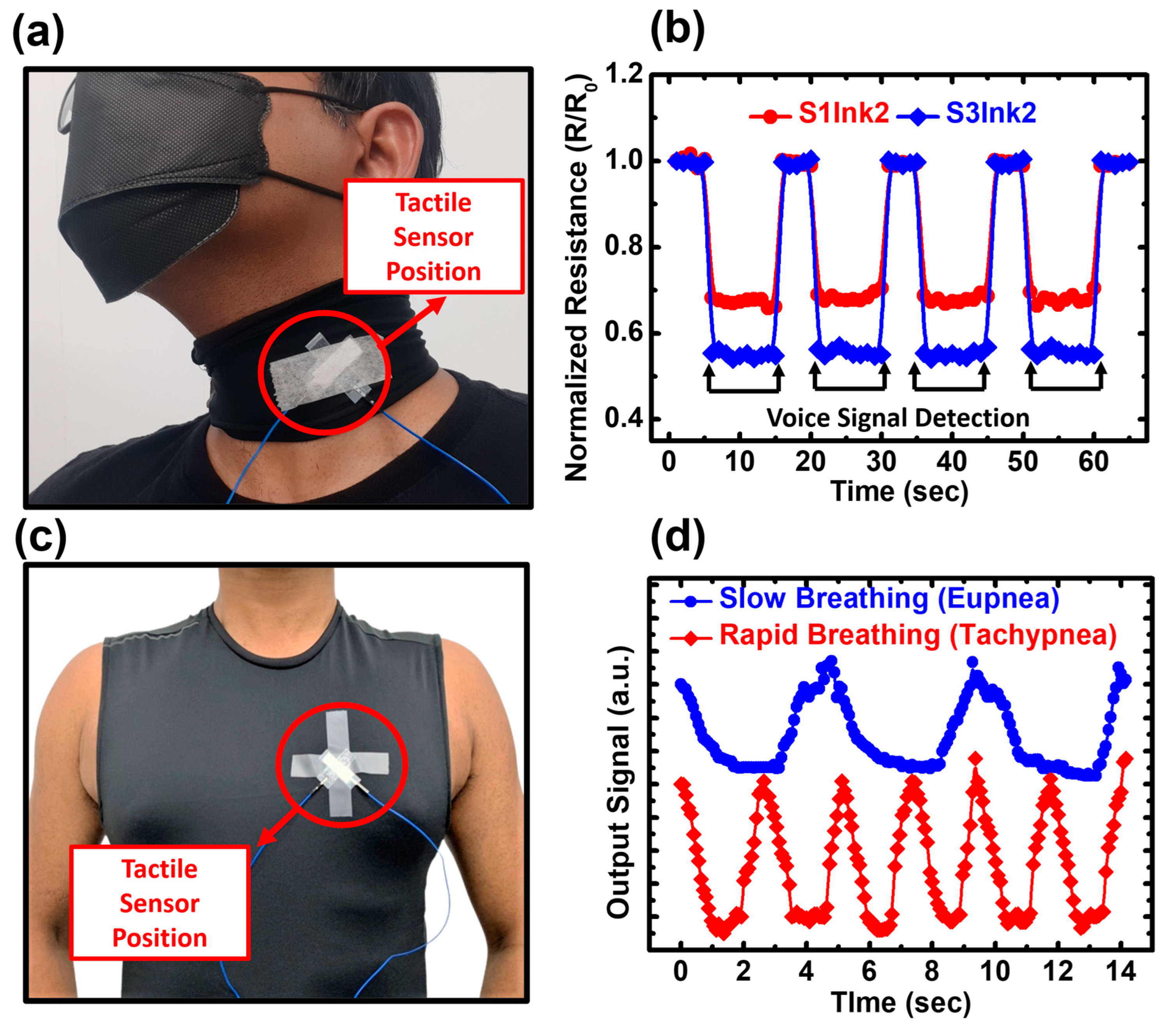 Biosensors 13 00174 g008