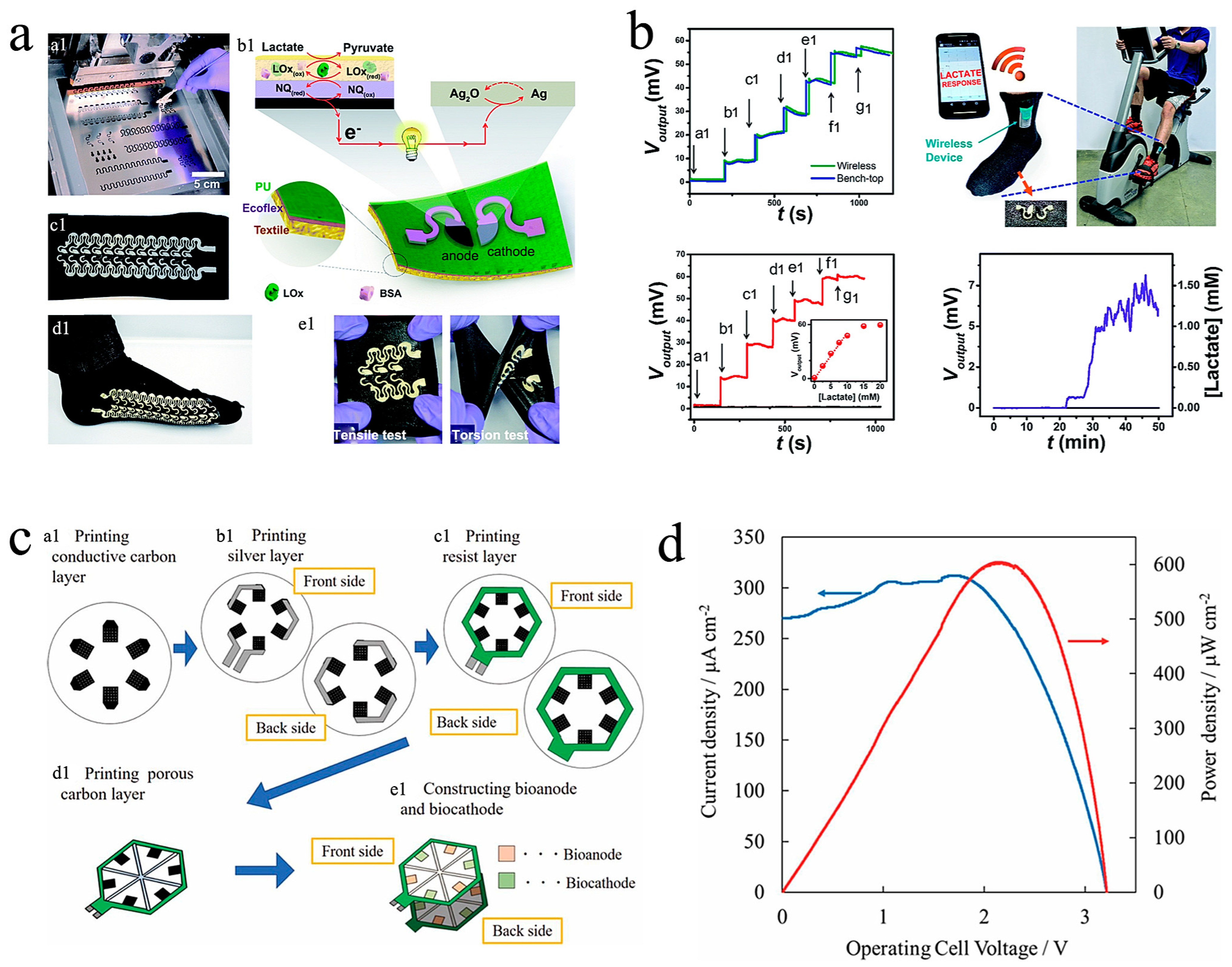 Biosensors 13 00175 g003