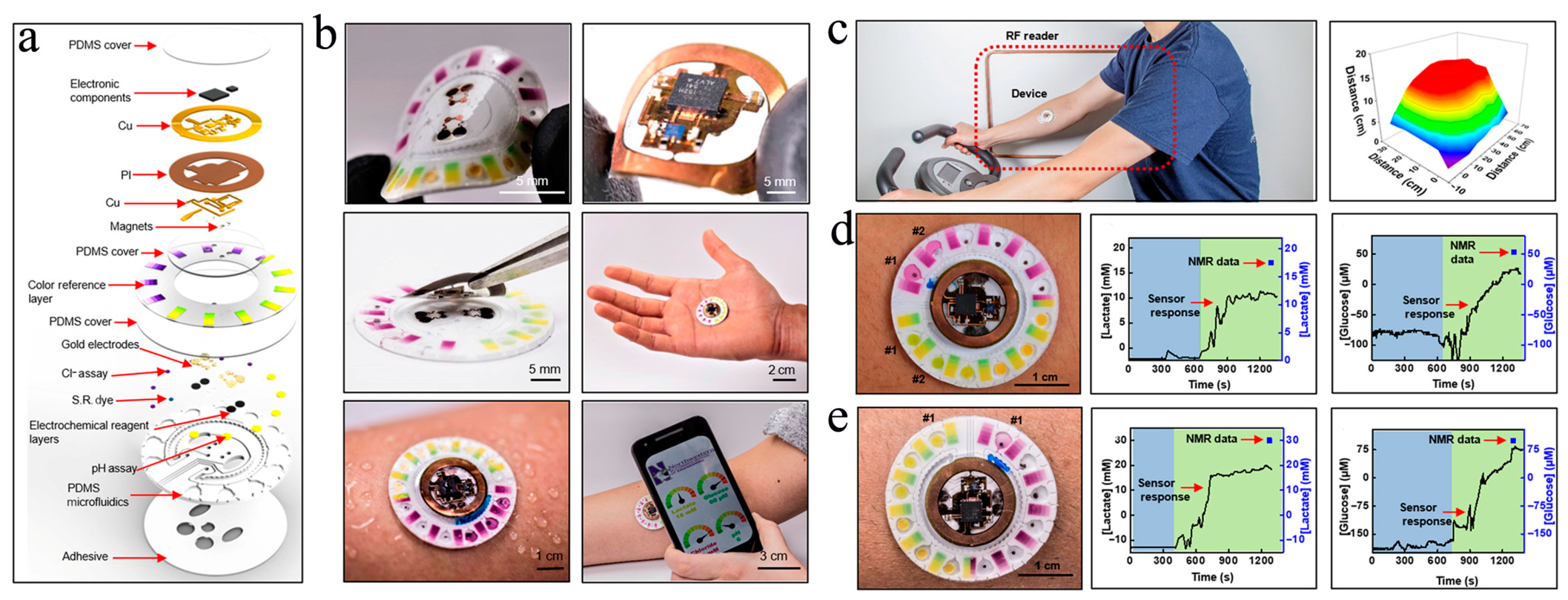 Biosensors 13 00175 g004