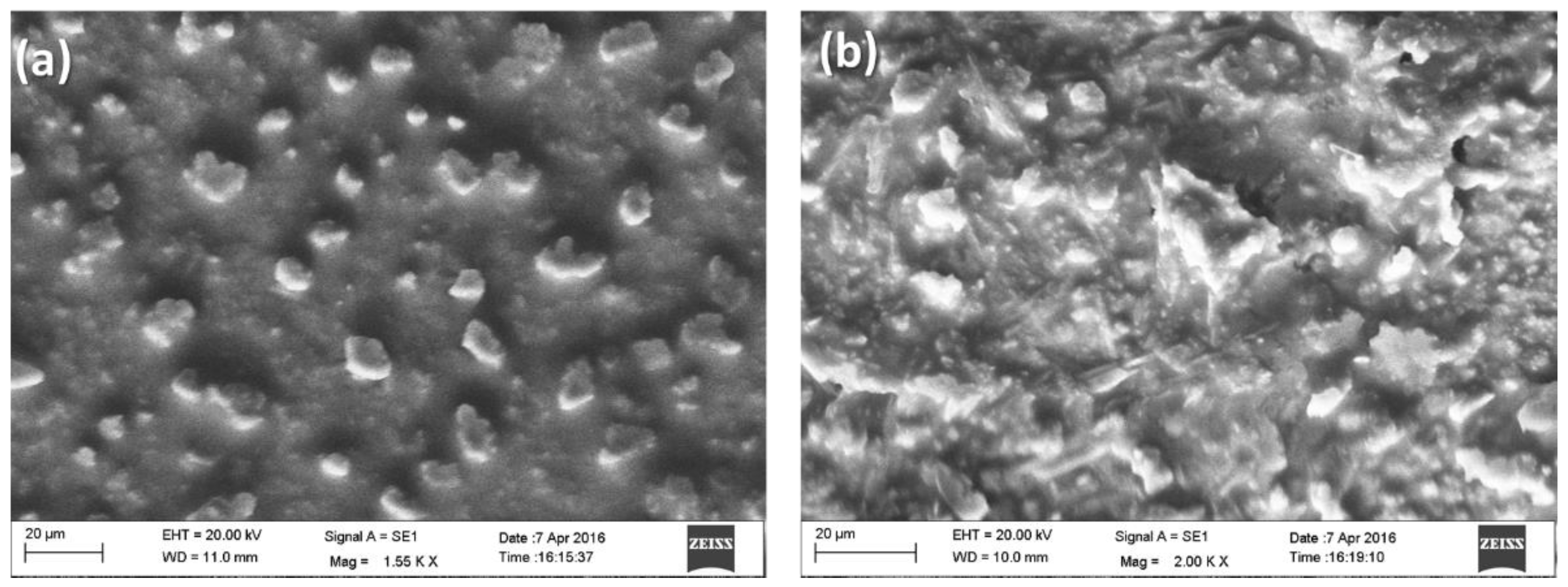 Biosensors 13 00177 g004