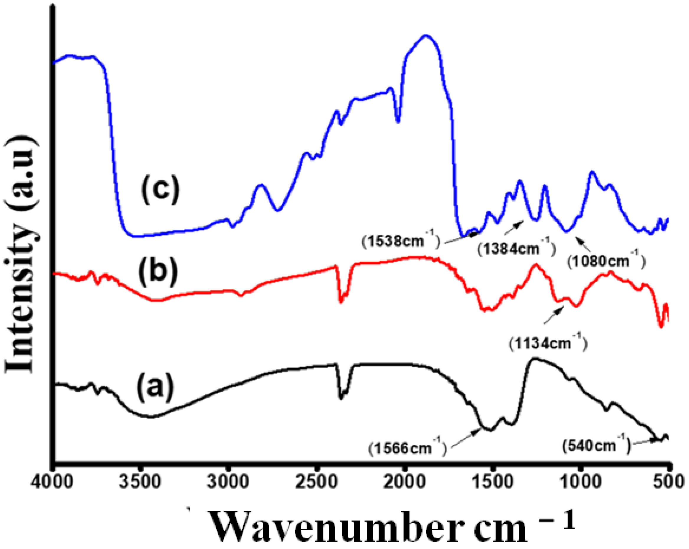 Biosensors 13 00177 g005