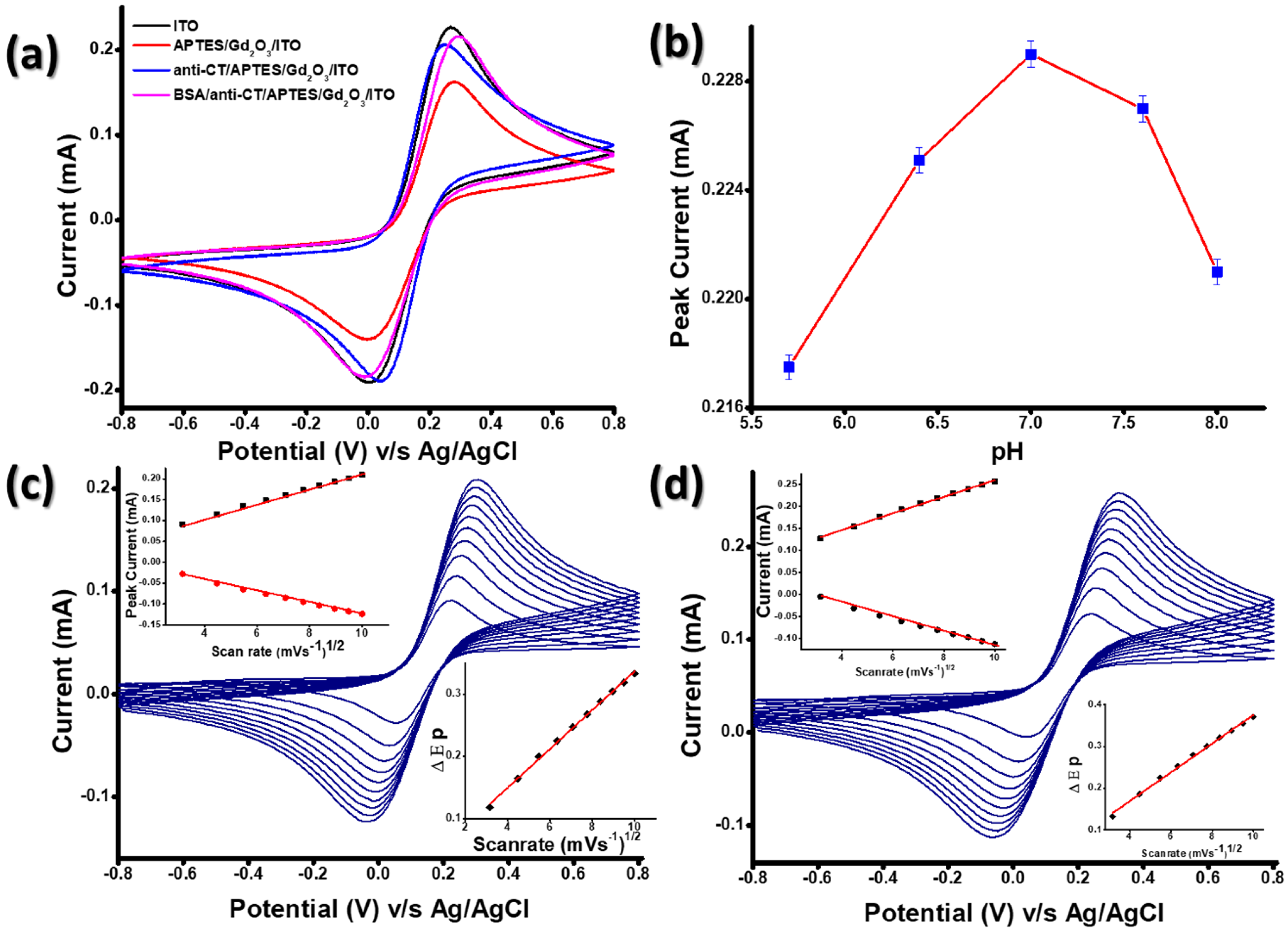 Biosensors 13 00177 g006
