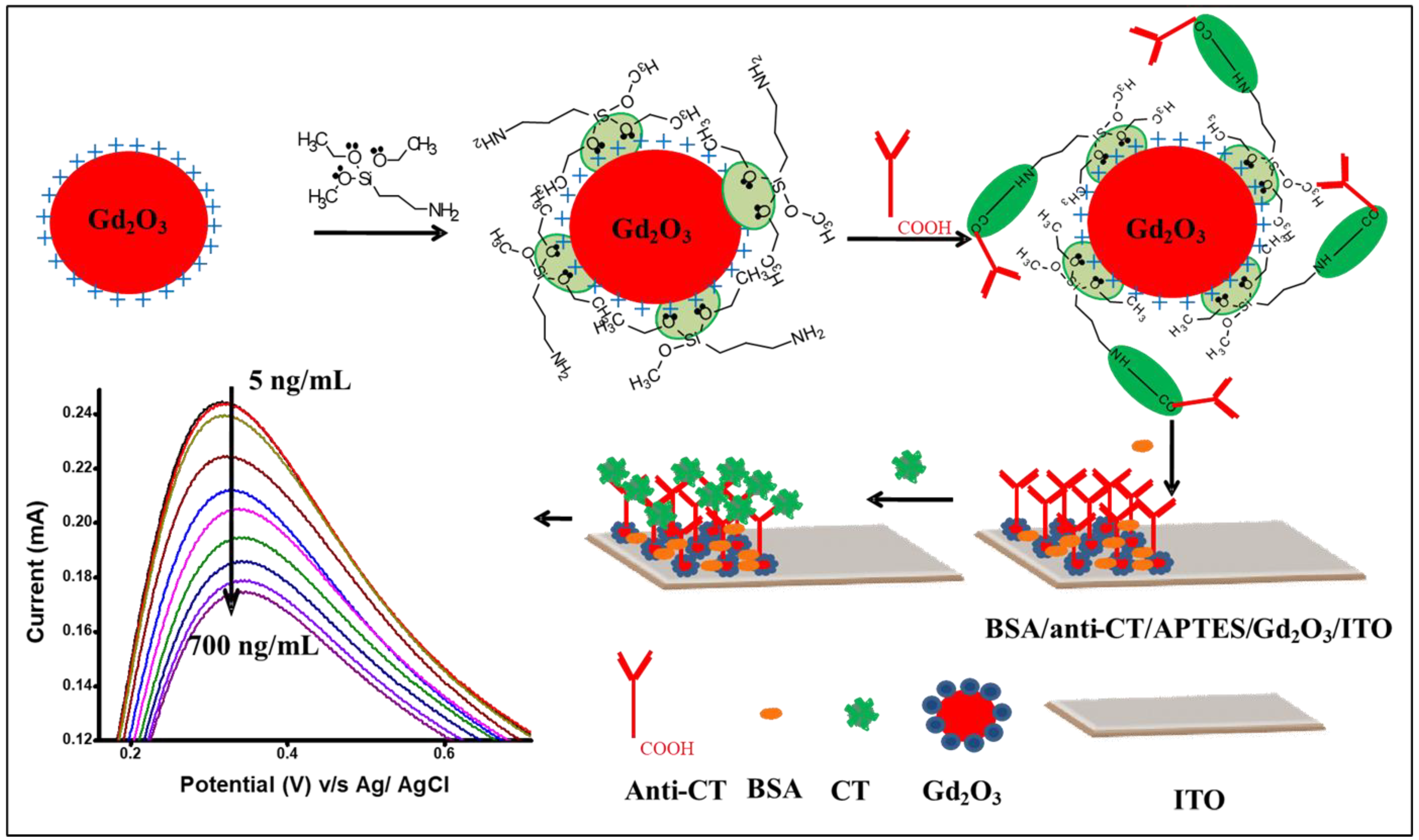 Biosensors 13 00177 sch001
