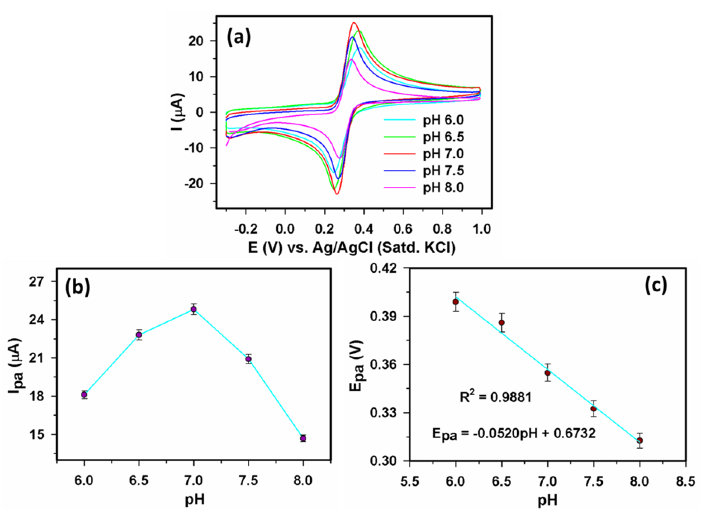 Biosensors 13 00178 g005 Biosensors 13 00178 g005