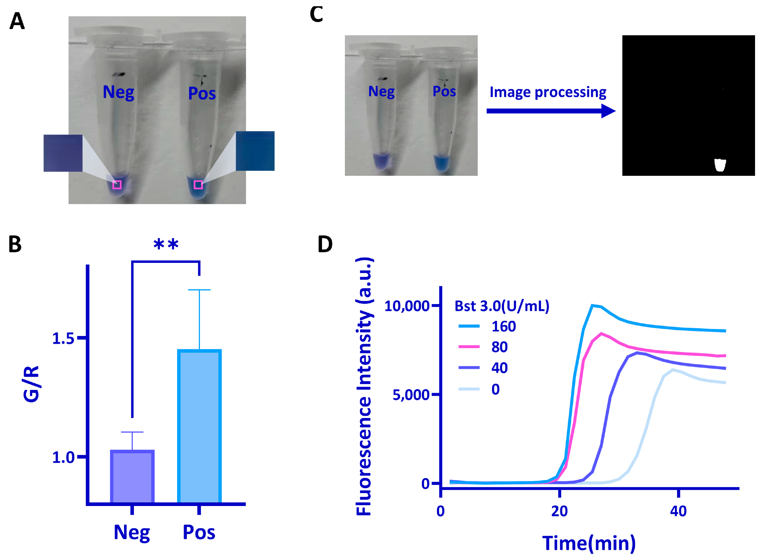 Biosensors 13 00180 g003 Biosensors 13 00180 g003