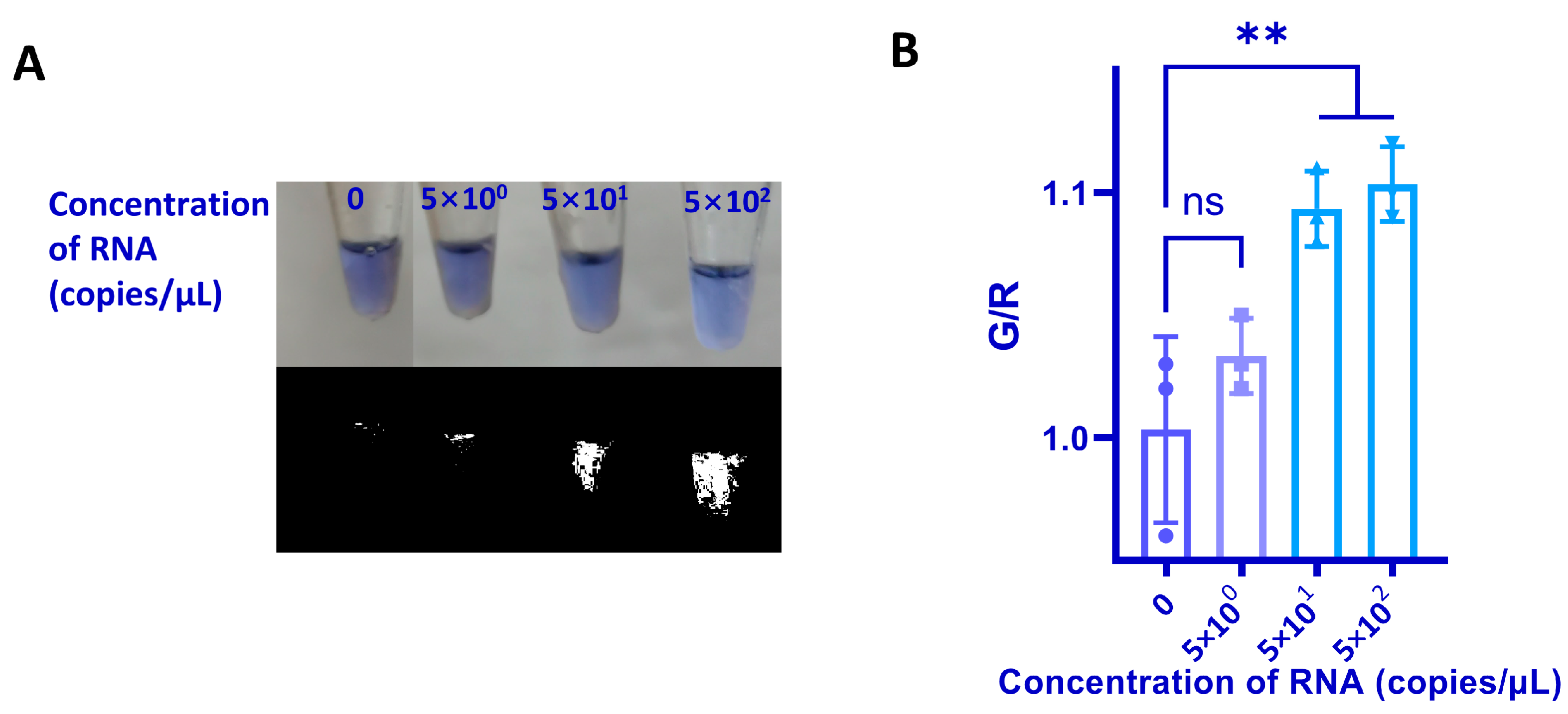 Biosensors 13 00180 g004 Biosensors 13 00180 g004
