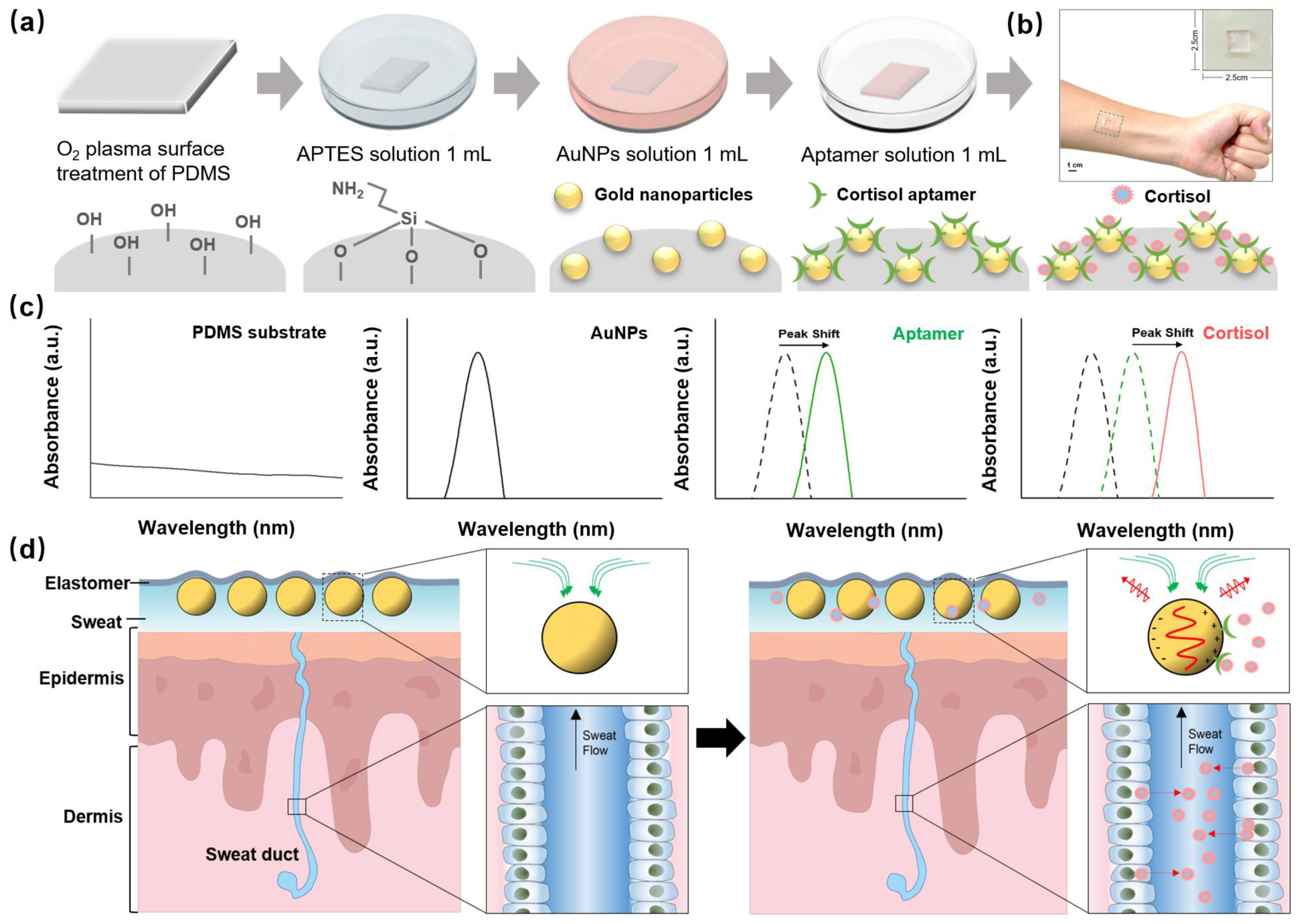 Biosensors 13 00184 g001 Biosensors 13 00184 g001