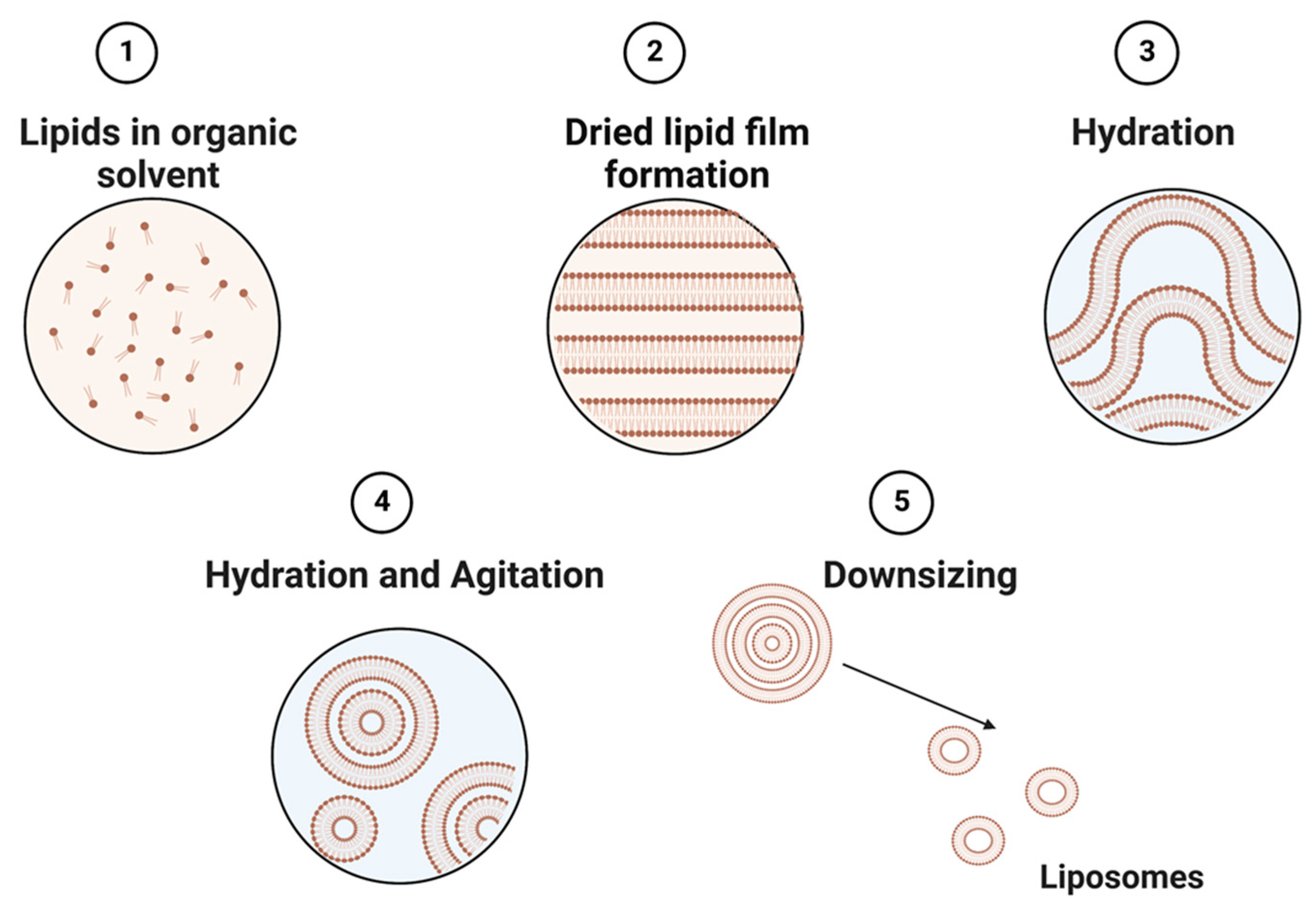 Biosensors 13 00189 g002
