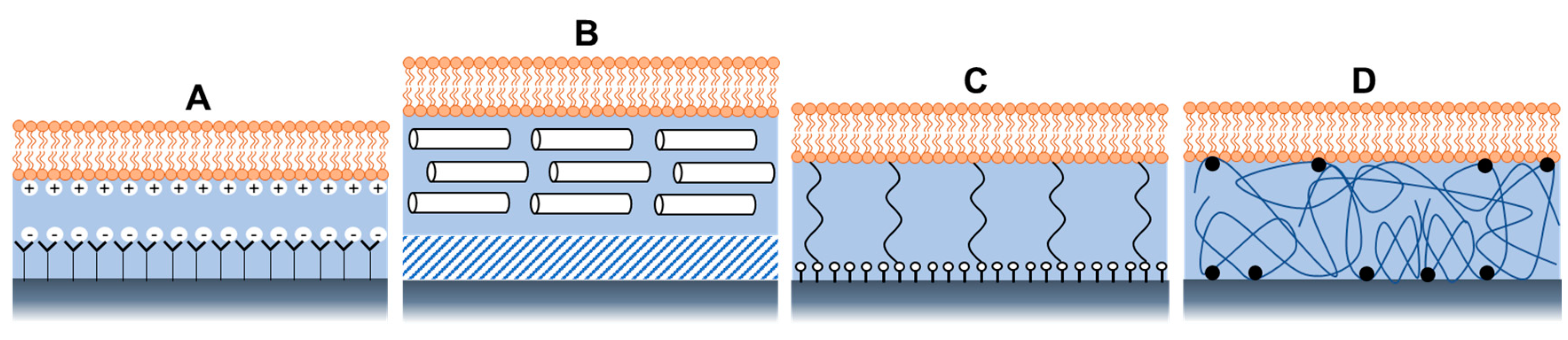 Biosensors 13 00189 g005