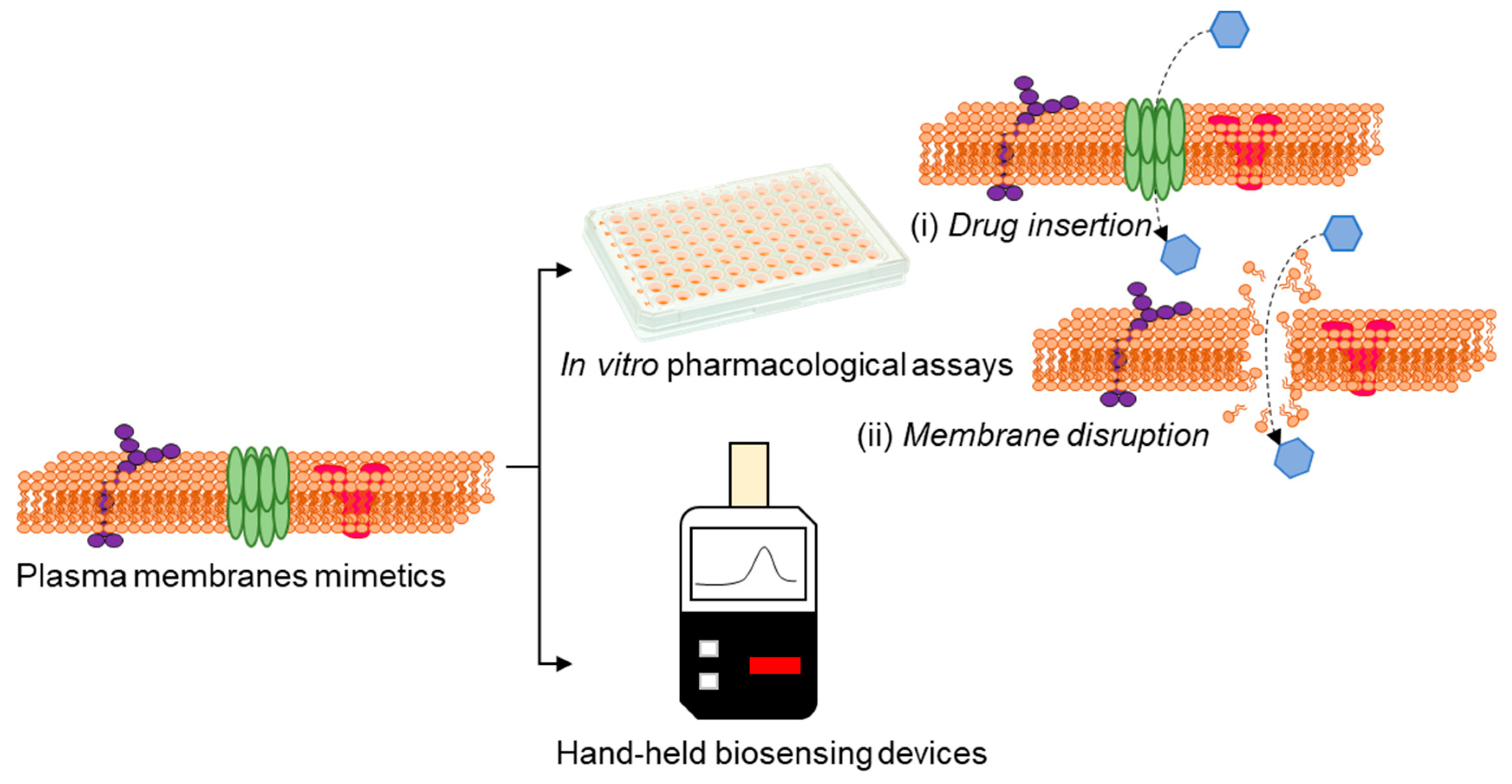 Biosensors 13 00189 g006