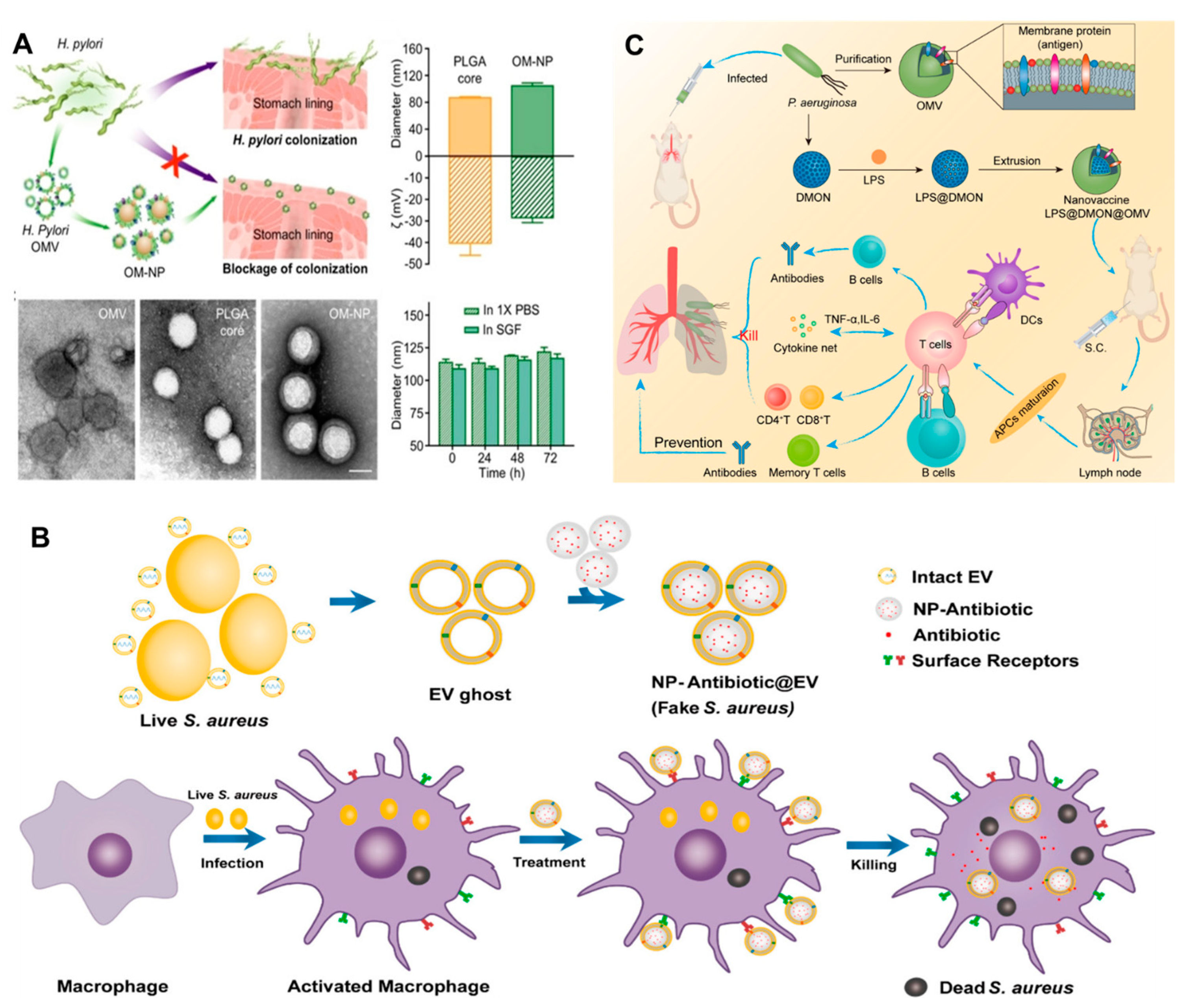 Biosensors 13 00189 g009