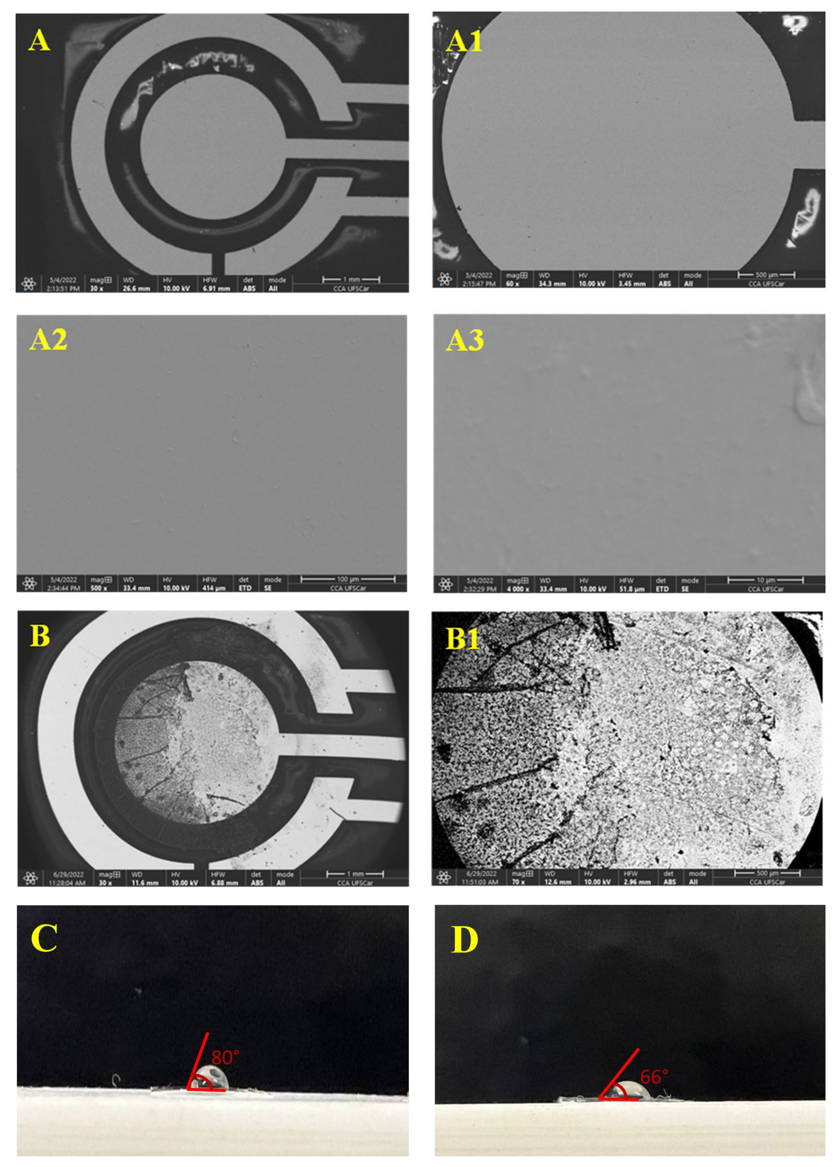 Biosensors 13 00190 g002 Biosensors 13 00190 g002