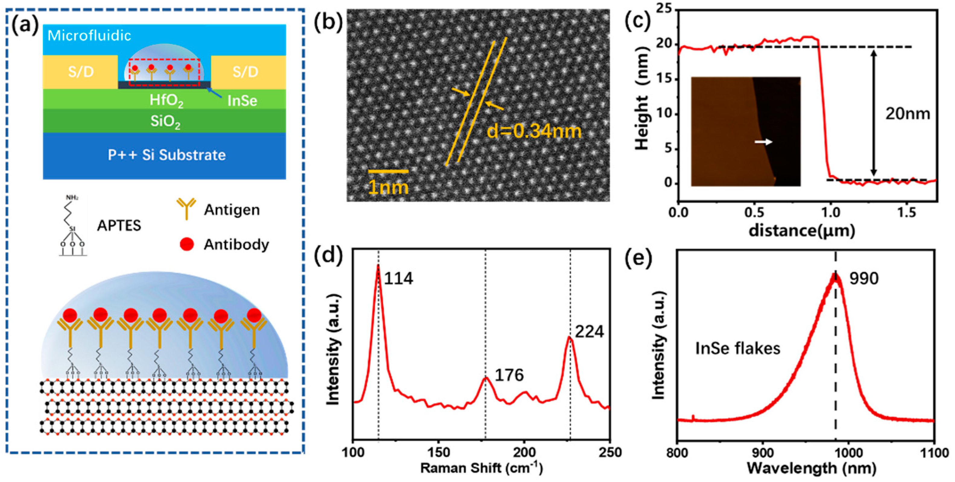 Biosensors 13 00193 g001 Biosensors 13 00193 g001