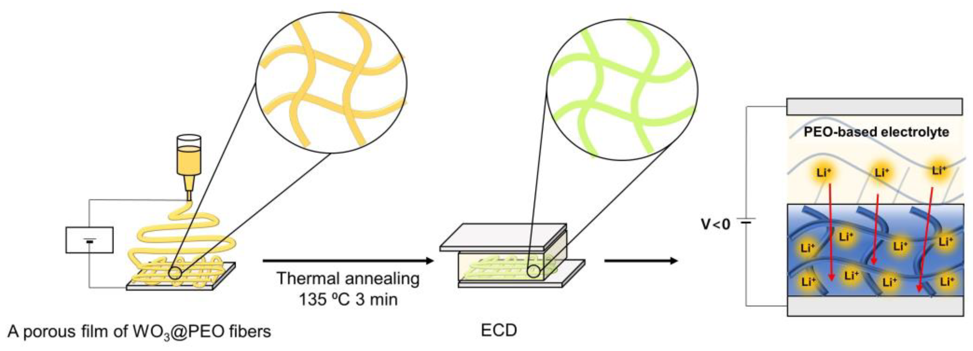 Biosensors 13 00194 g001 Biosensors 13 00194 g001
