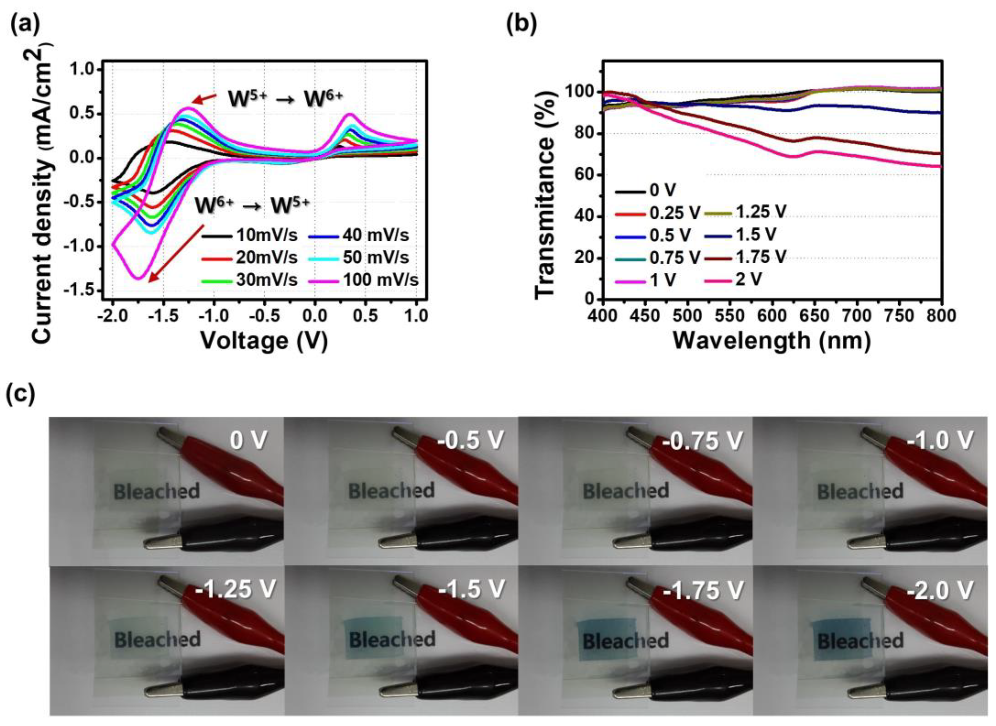 Biosensors 13 00194 g004 Biosensors 13 00194 g004