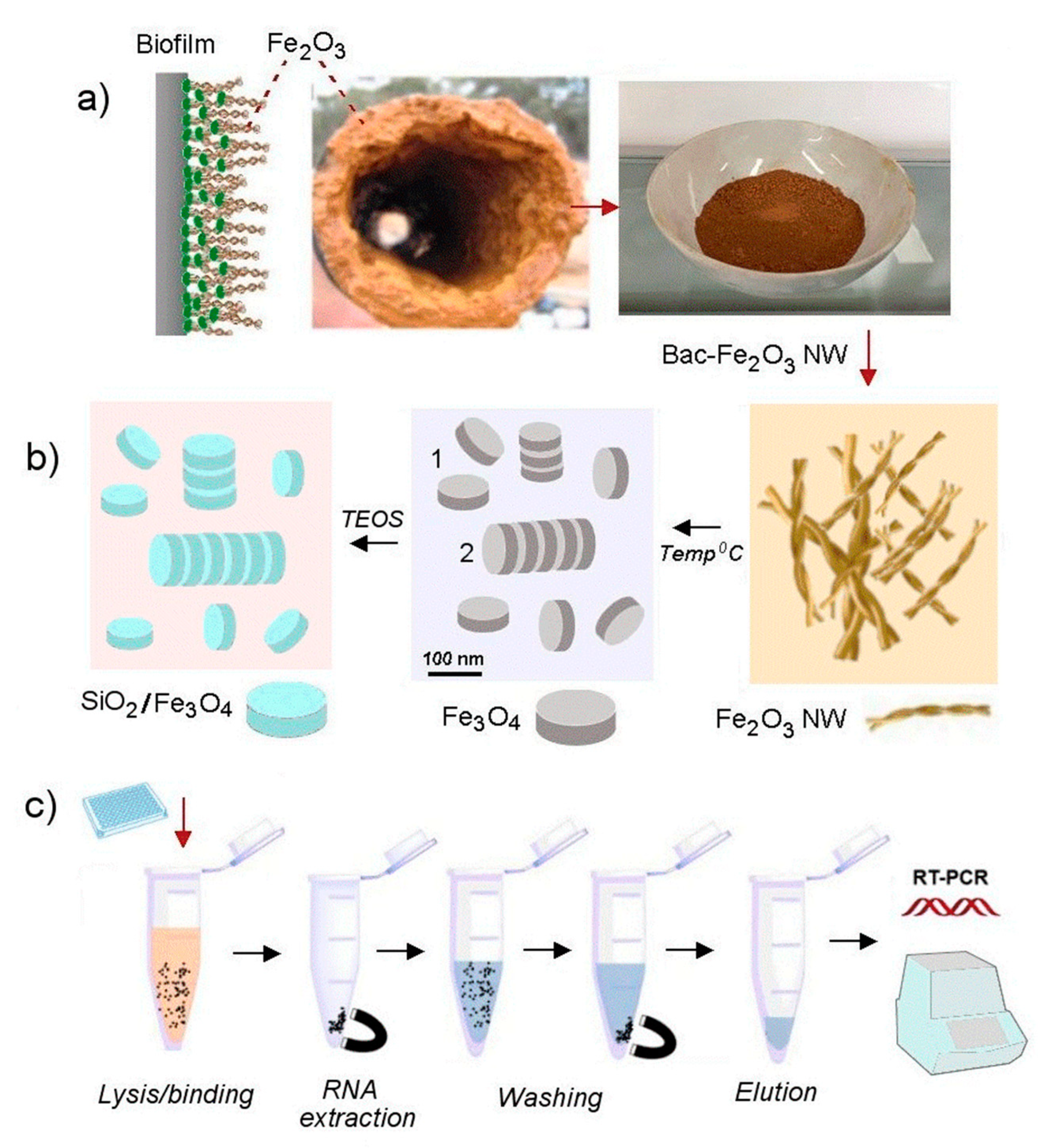 Biosensors 13 00196 g001