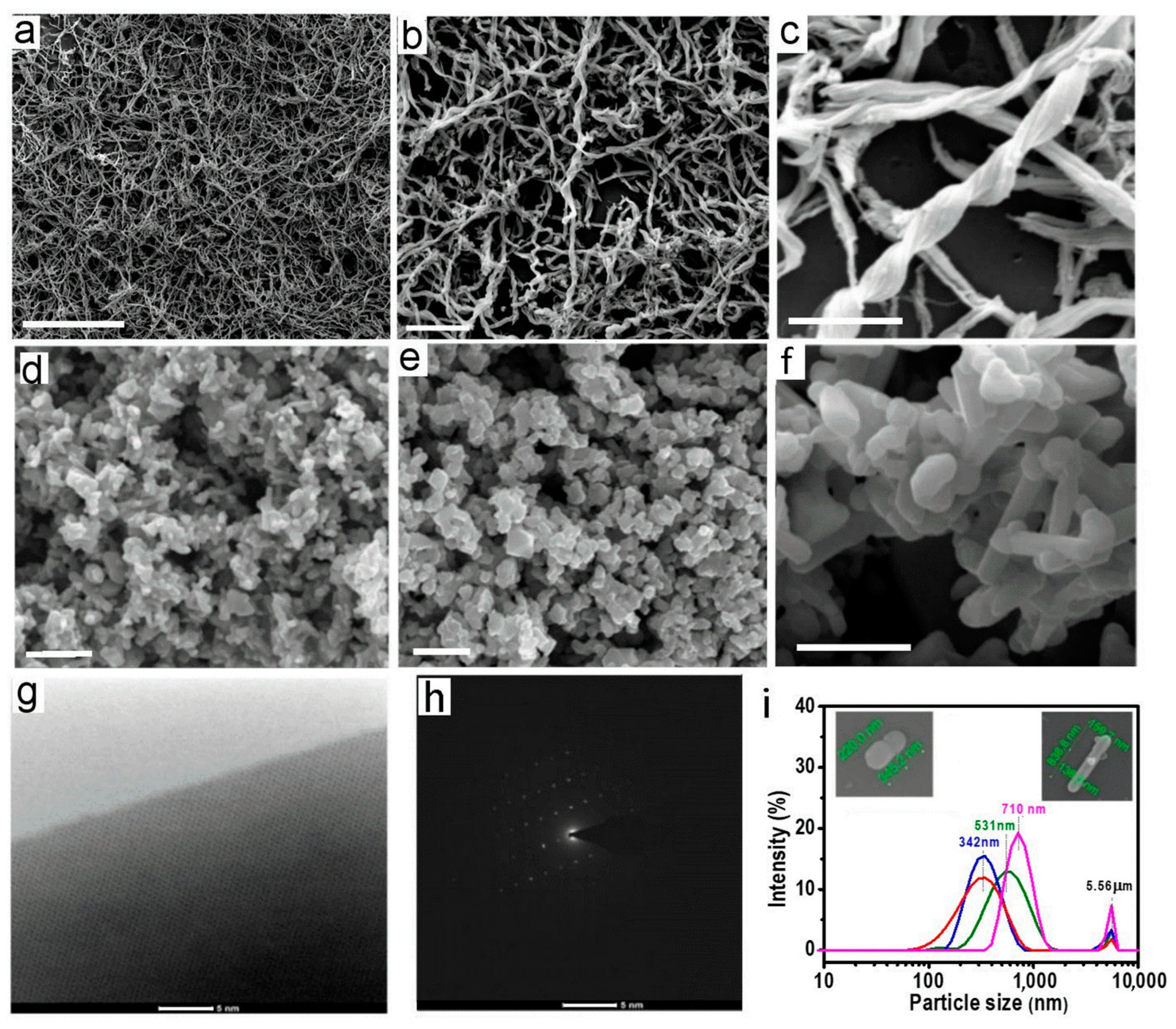 Biosensors 13 00196 g002