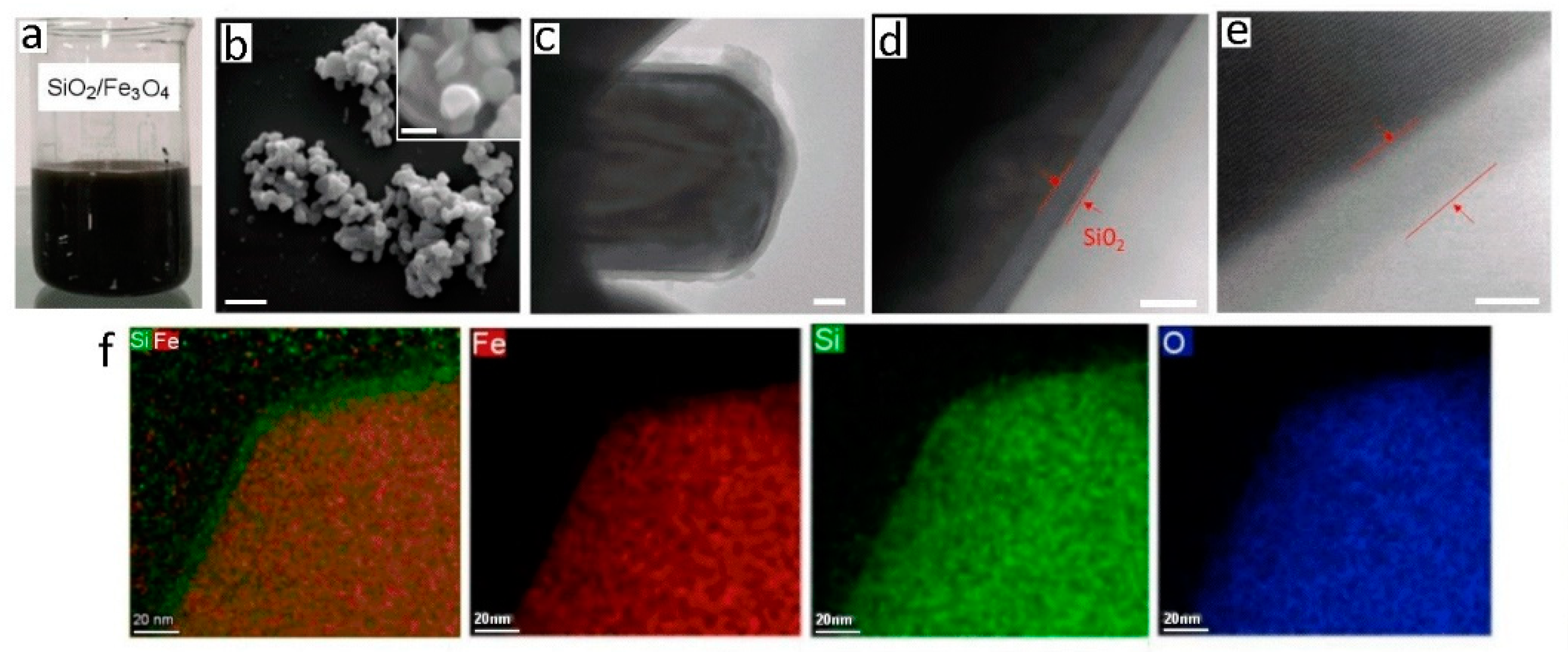 Biosensors 13 00196 g004