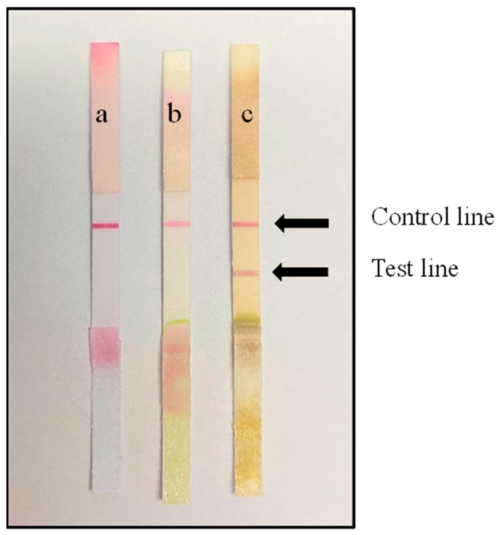 Biosensors 13 00199 g002 Biosensors 13 00199 g002