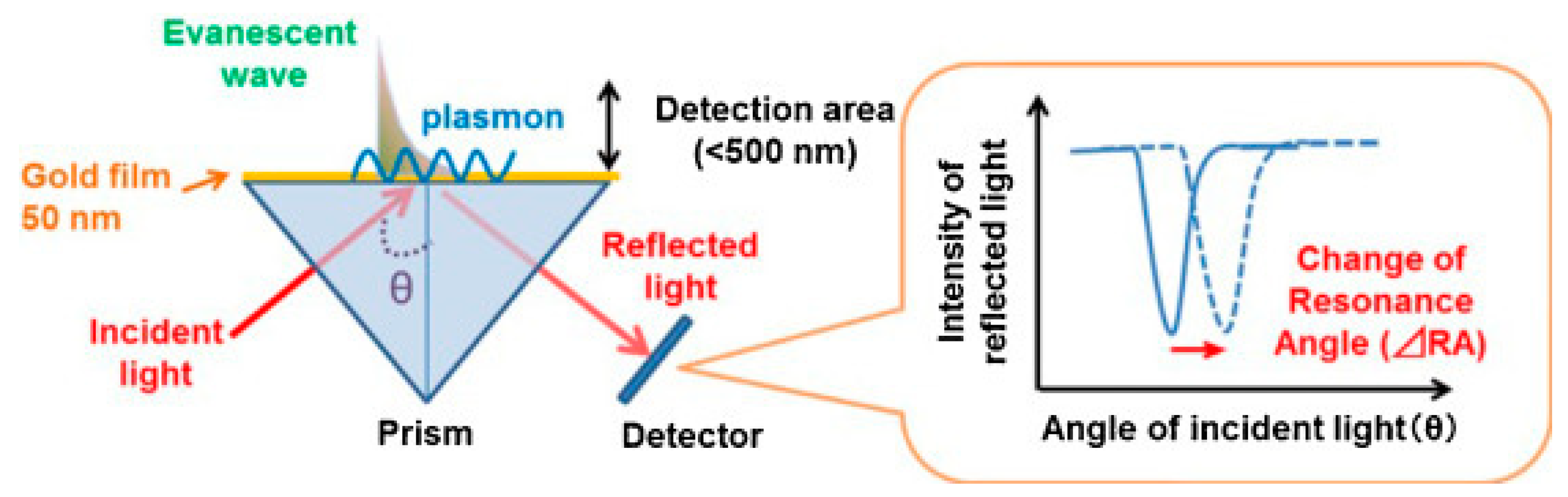 Biosensors 13 00200 g003 Biosensors 13 00200 g003