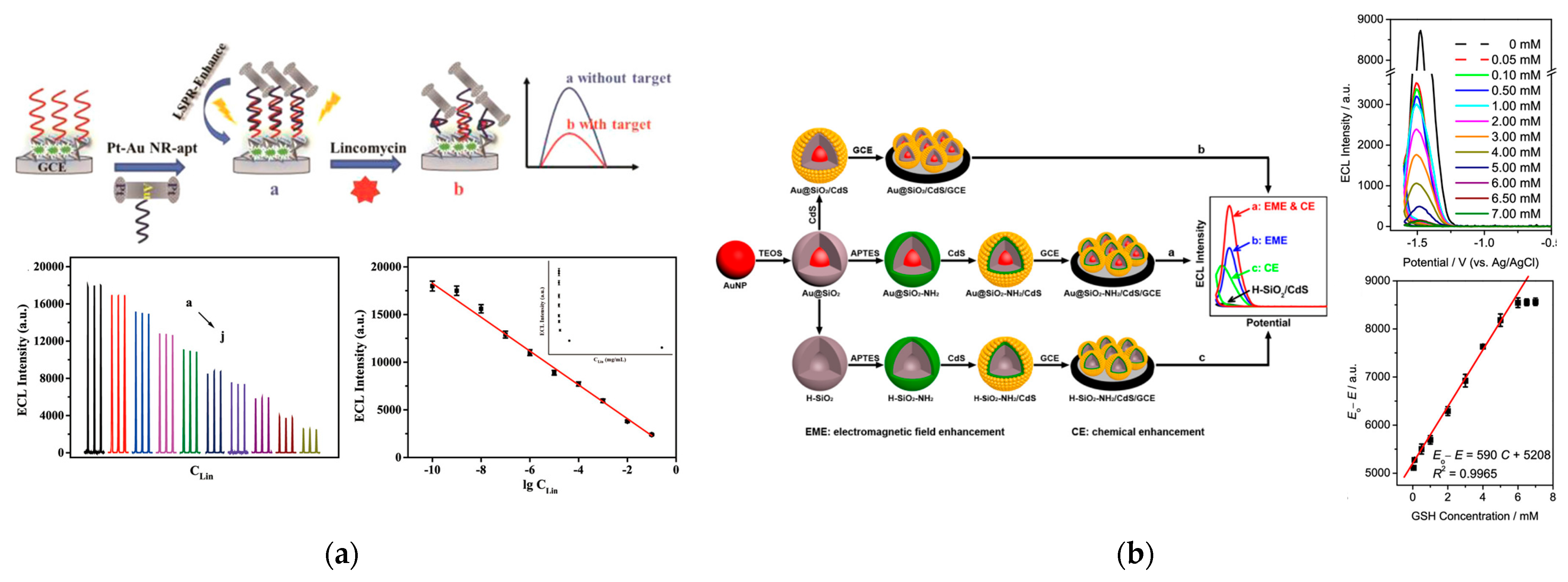 Biosensors 13 00200 g006 Biosensors 13 00200 g006