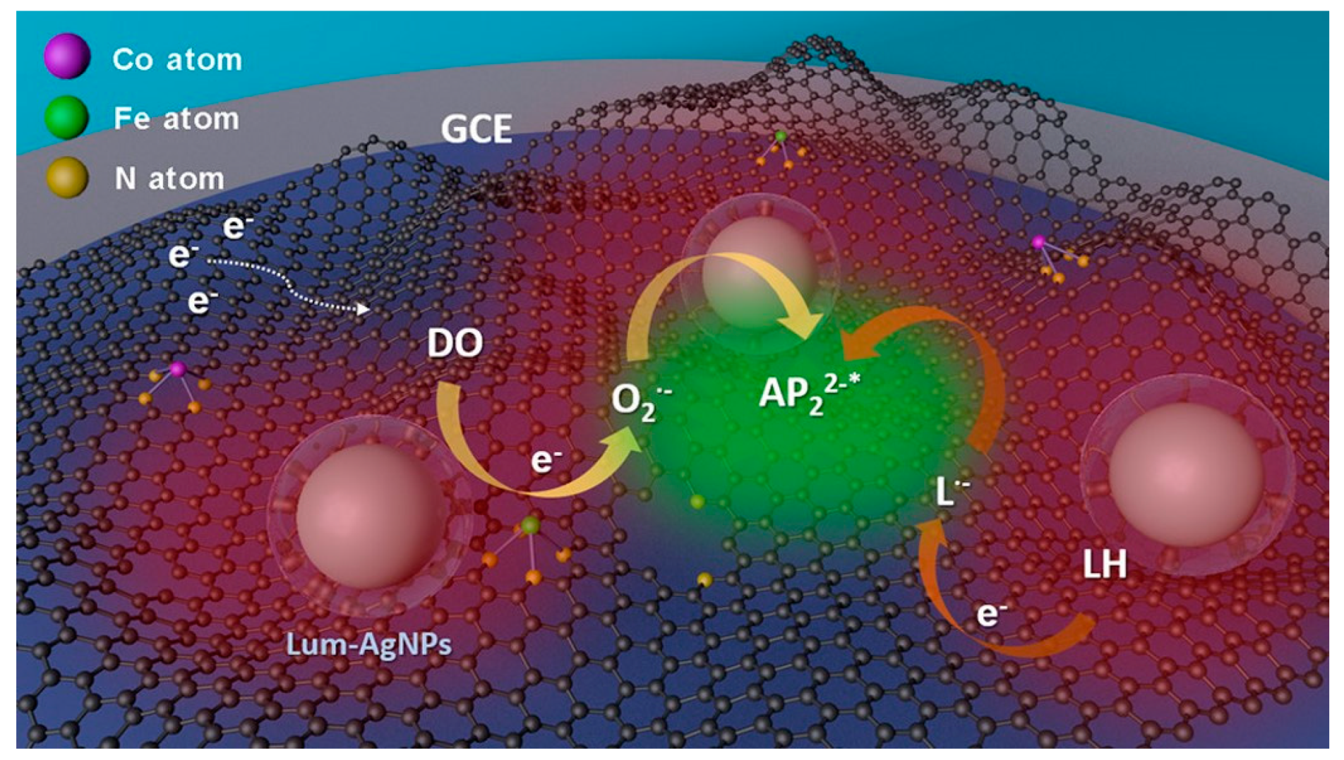 Biosensors 13 00200 g008 Biosensors 13 00200 g008