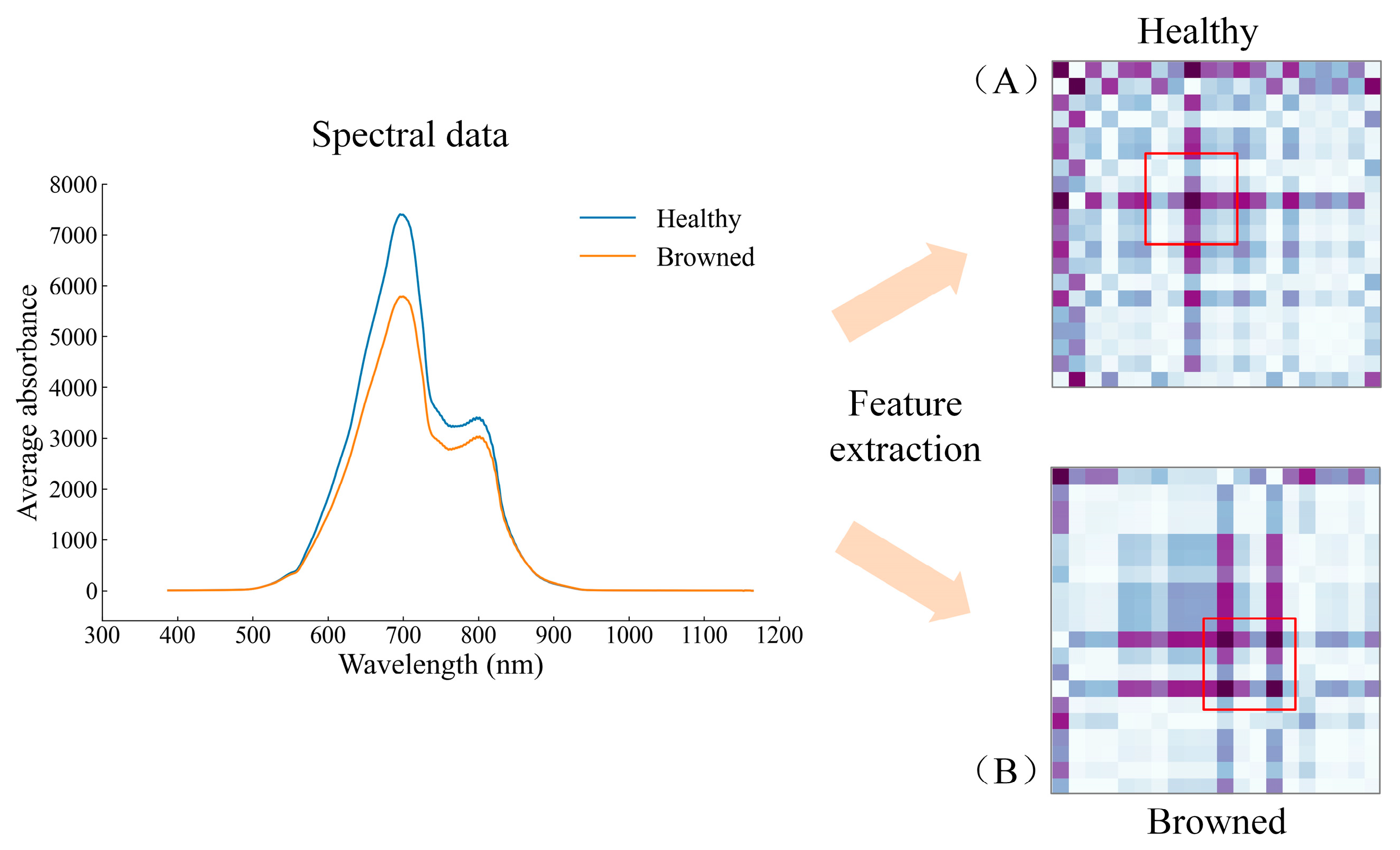Biosensors 13 00203 g009 550