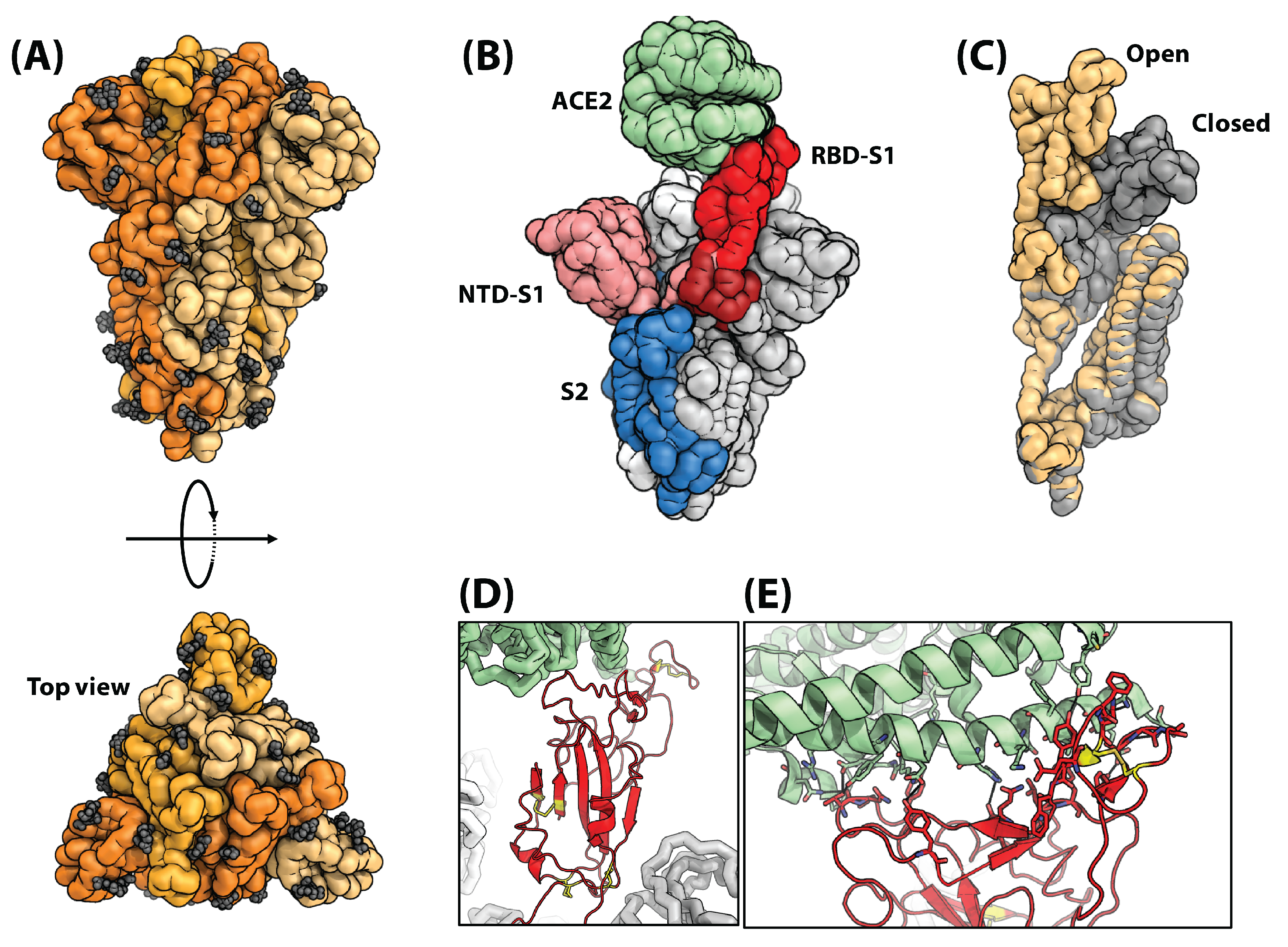 Biosensors 13 00204 g003 Biosensors 13 00204 g003