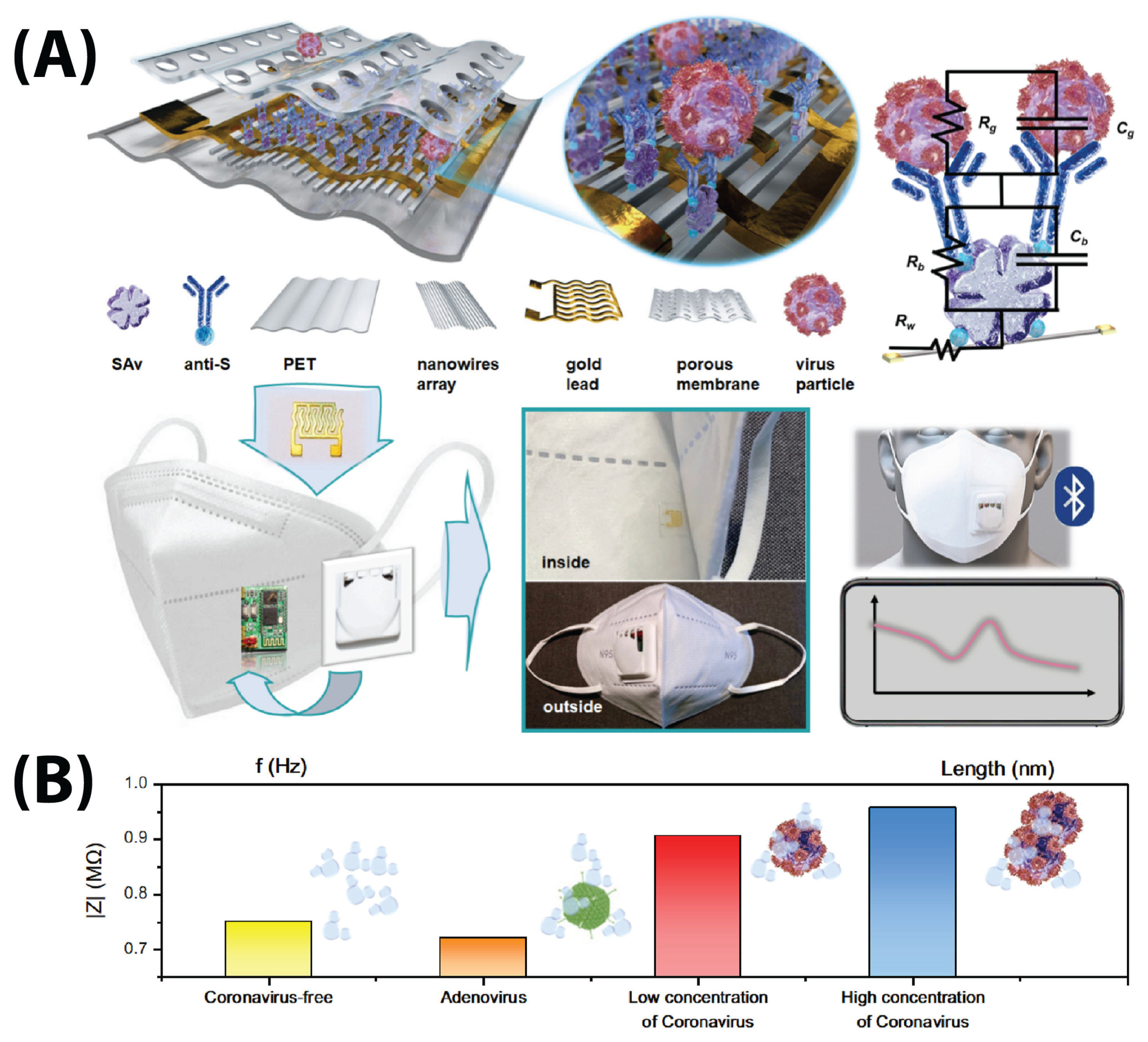 Biosensors 13 00204 g005 Biosensors 13 00204 g005