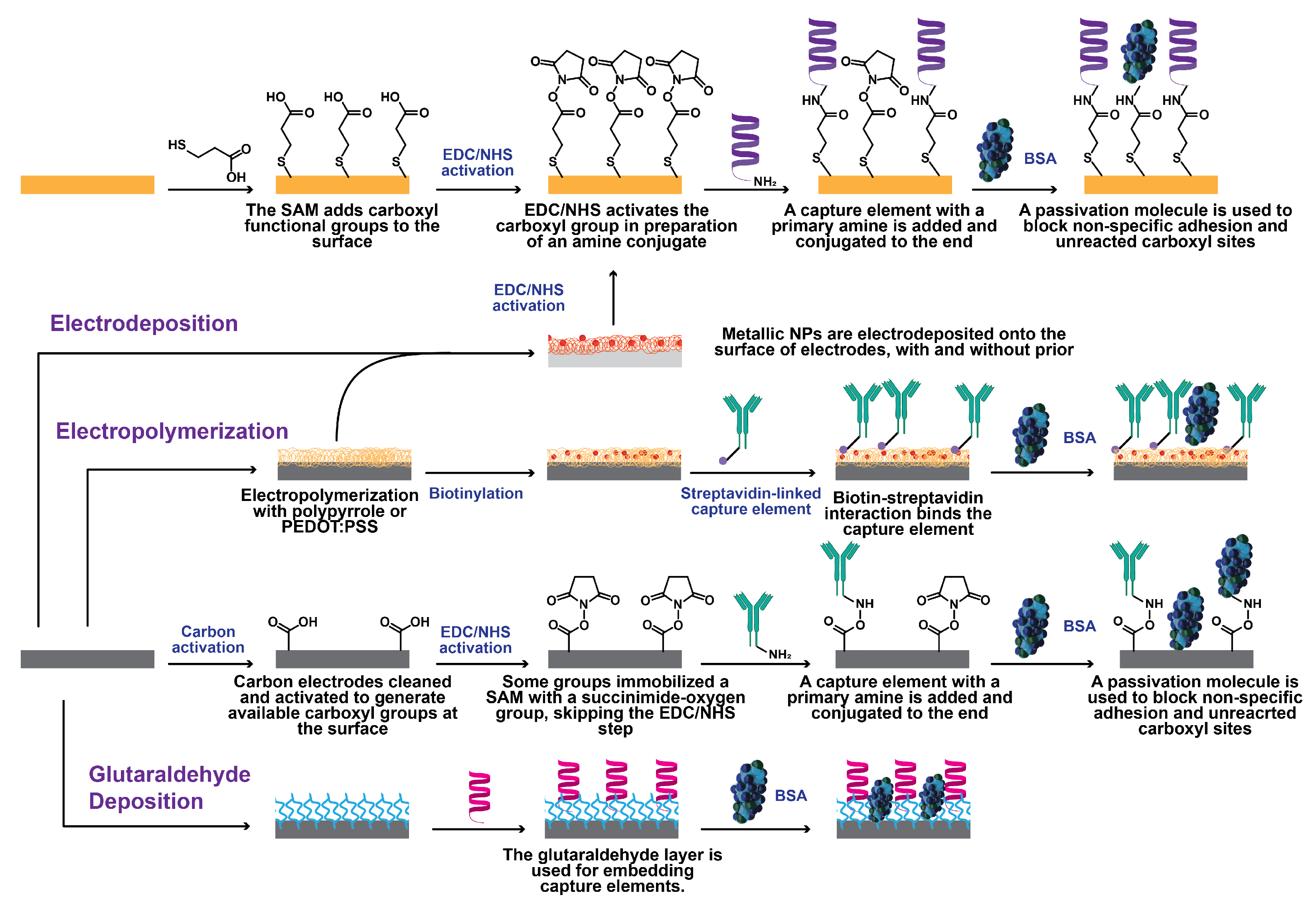 Biosensors 13 00204 g007 Biosensors 13 00204 g007
