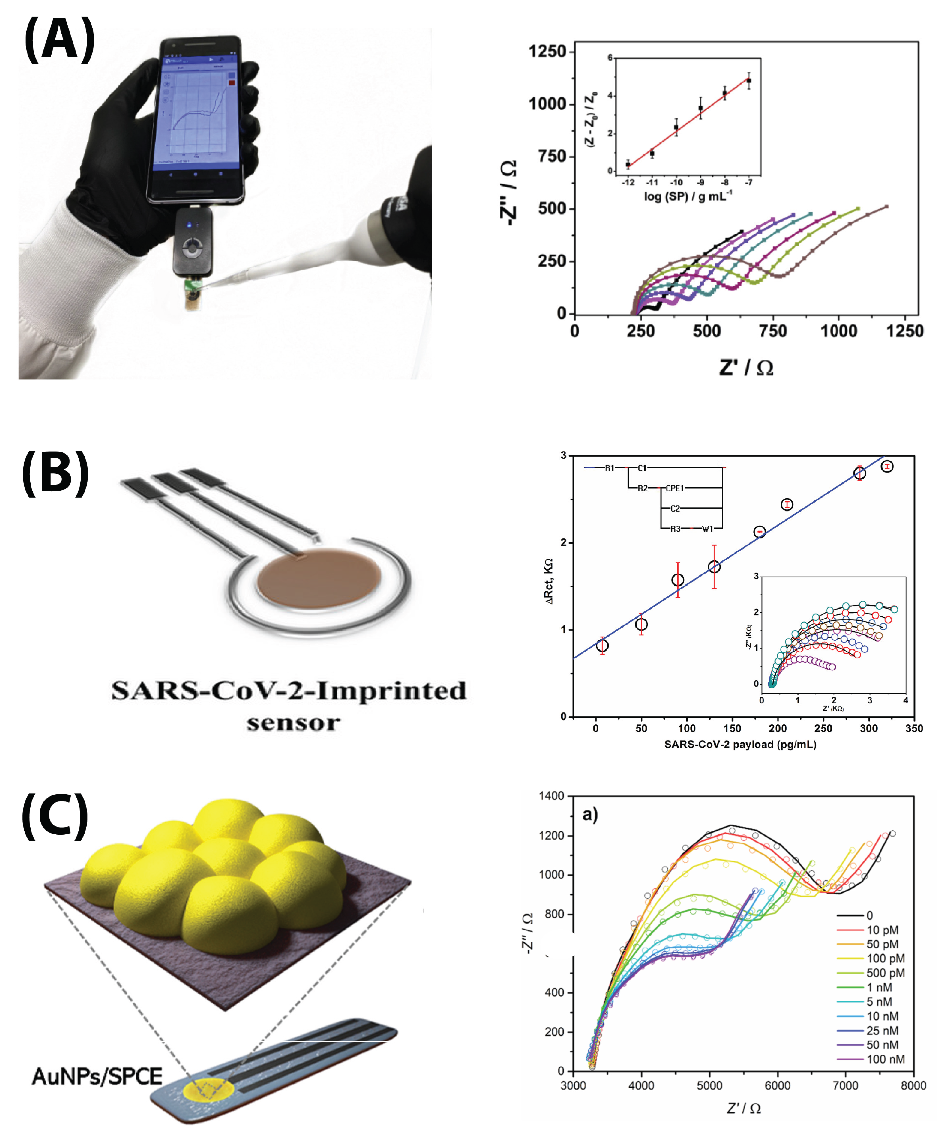 Biosensors 13 00204 g008 Biosensors 13 00204 g008