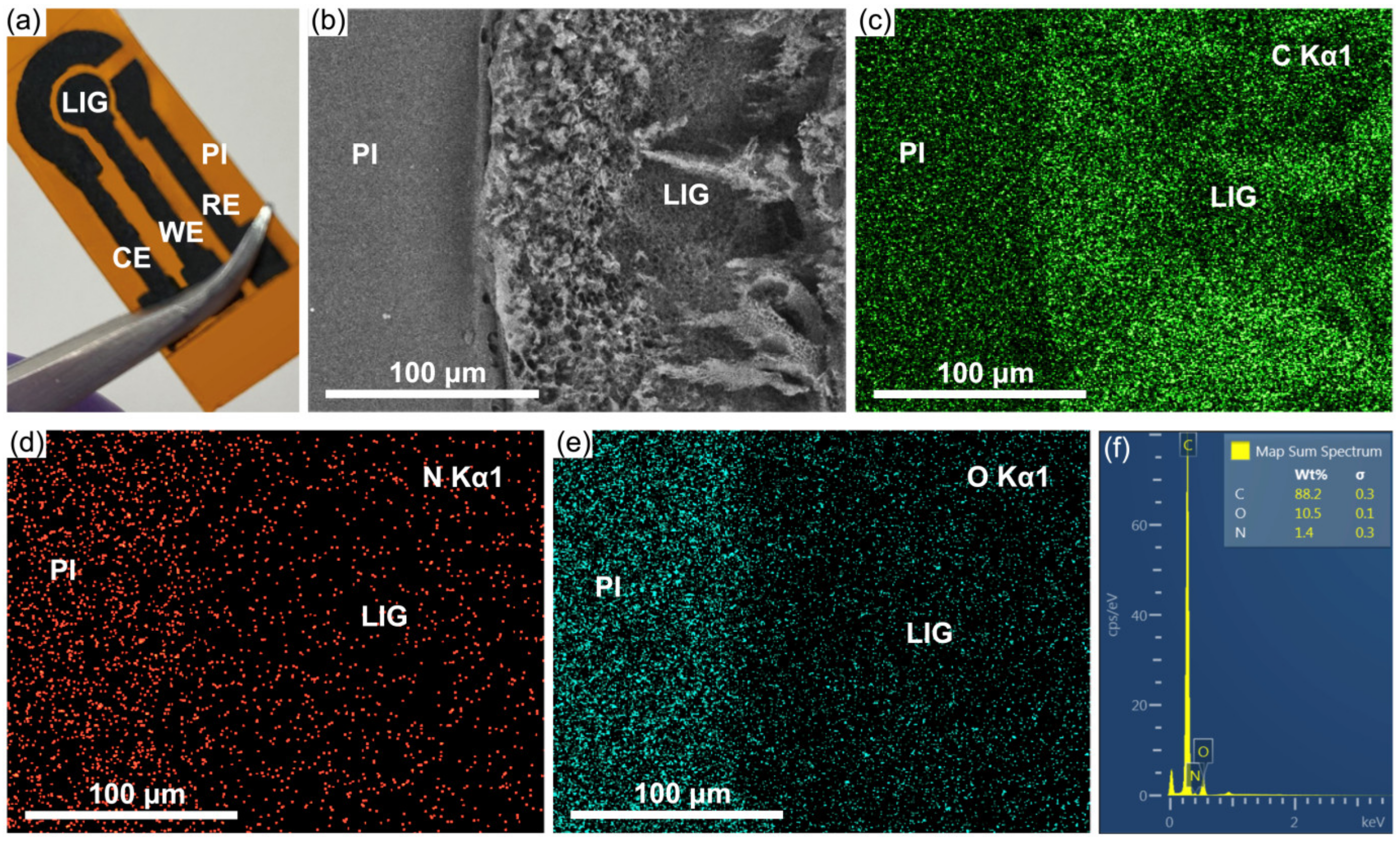 Biosensors 13 00207 g002