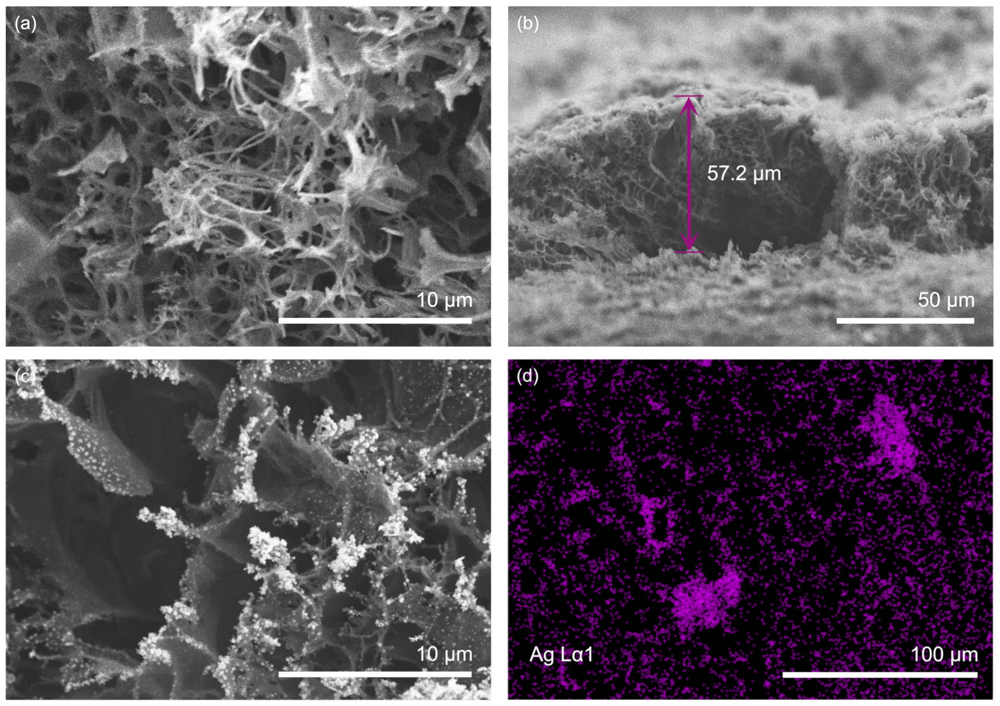 Biosensors 13 00207 g004
