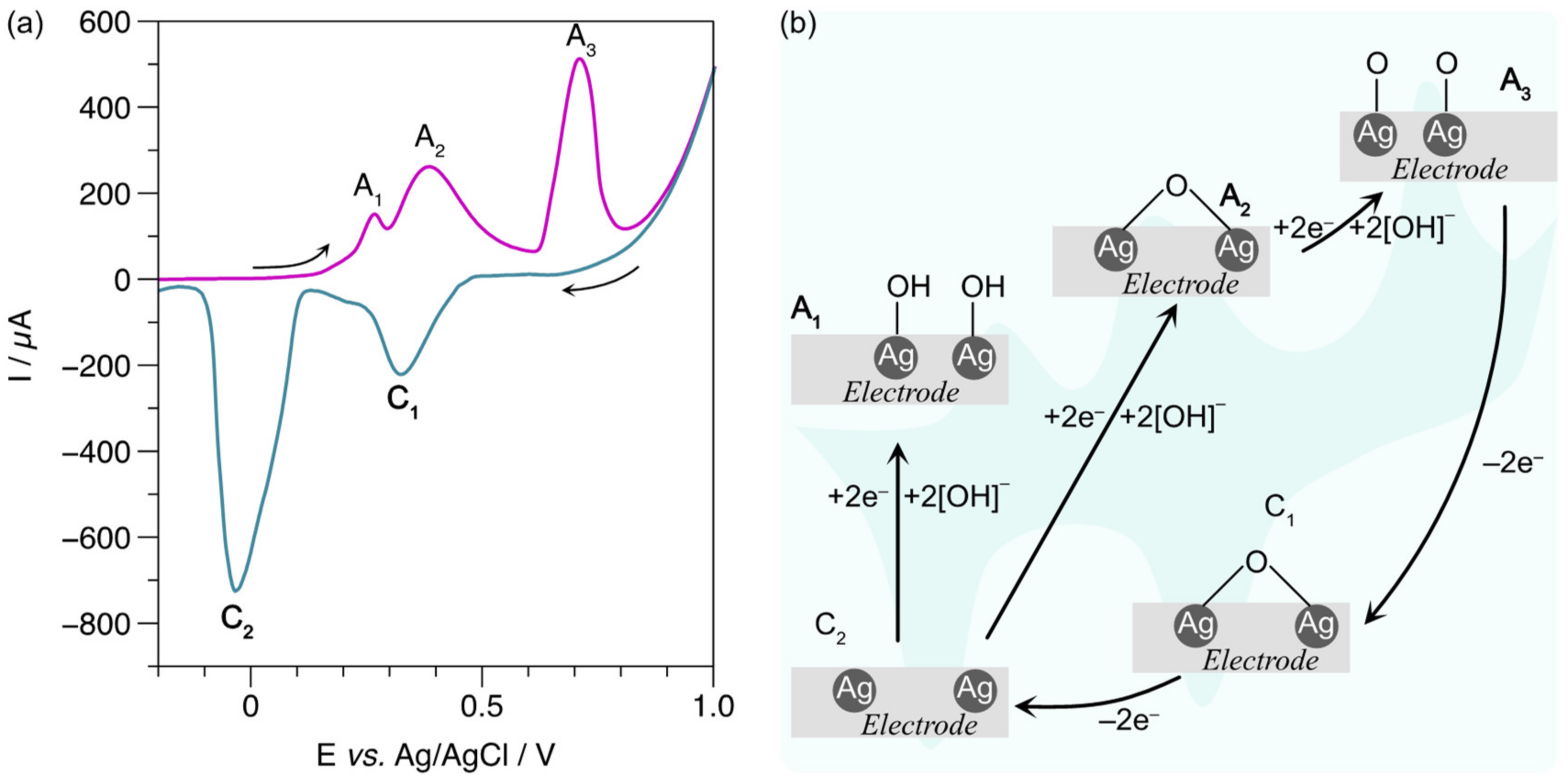 Biosensors 13 00207 g006