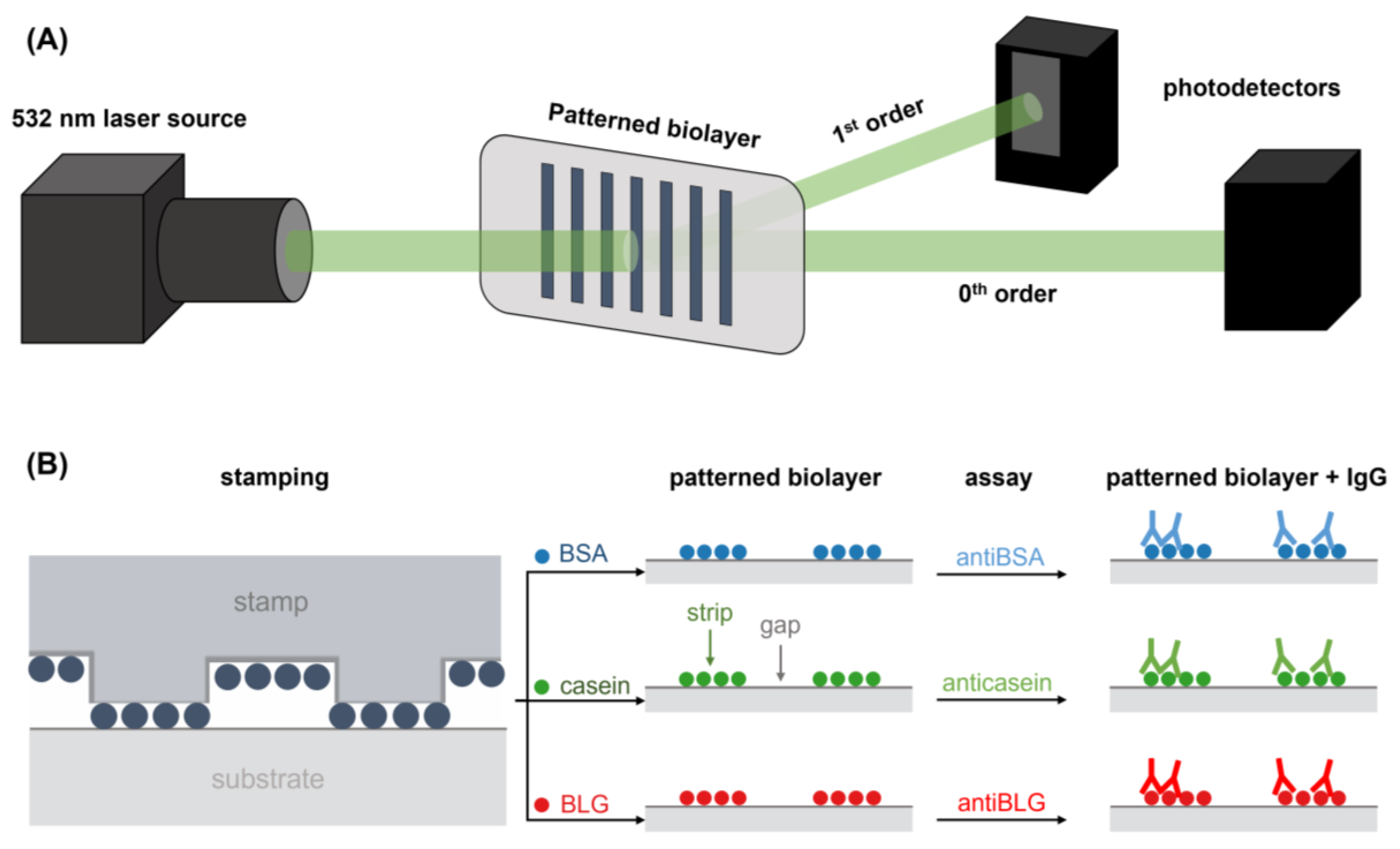 Biosensors 13 00214 g002 Biosensors 13 00214 g002